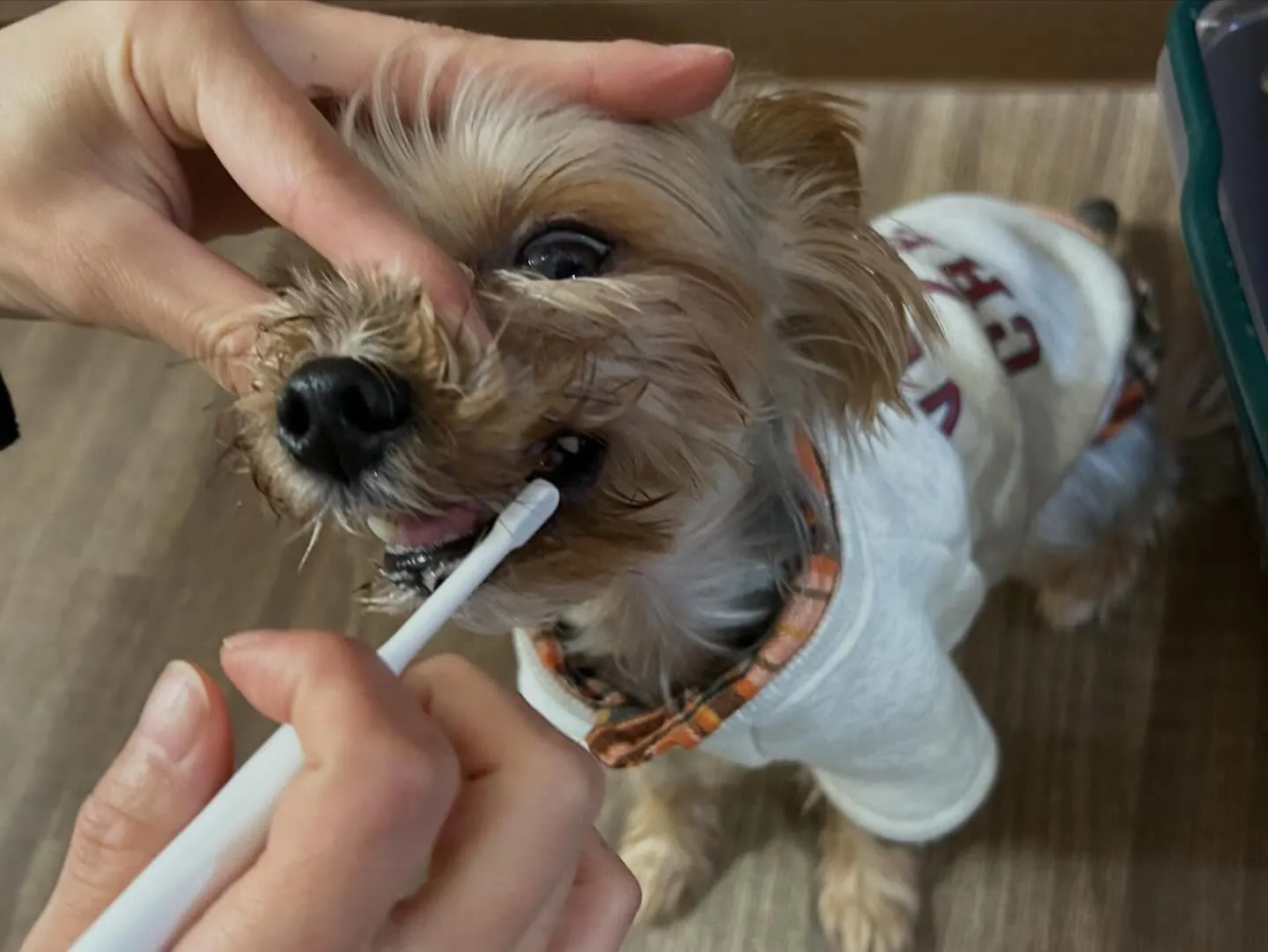 【2月のオススメ商品💕】