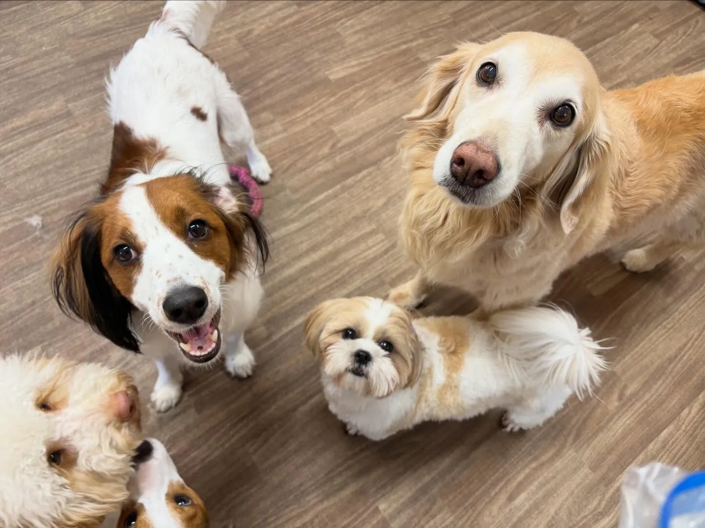 【2月のオススメ商品💕】