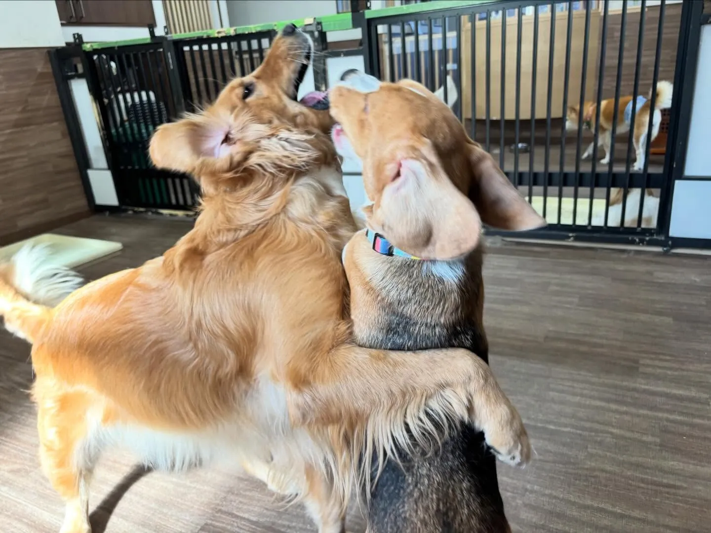 【2月のオススメ商品💕】