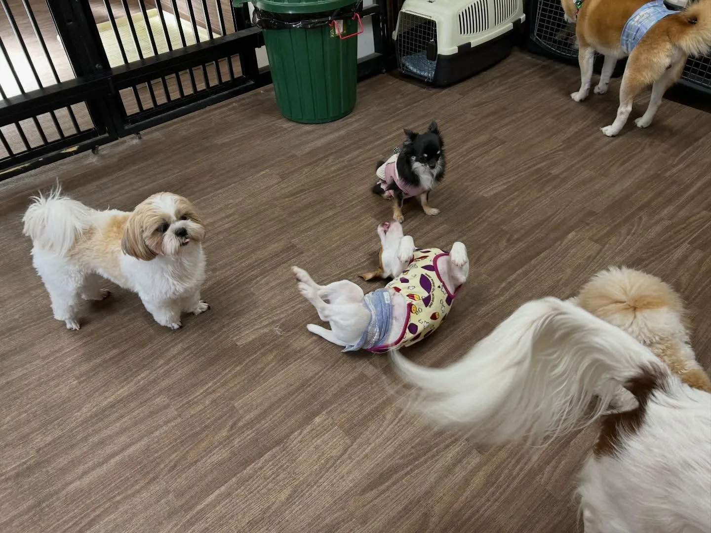 【2月のオススメ商品💕】