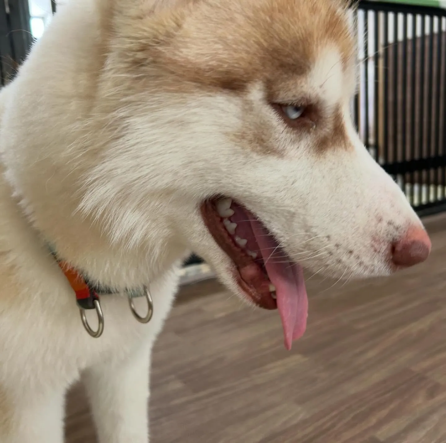 入会してくれた善くんです💖