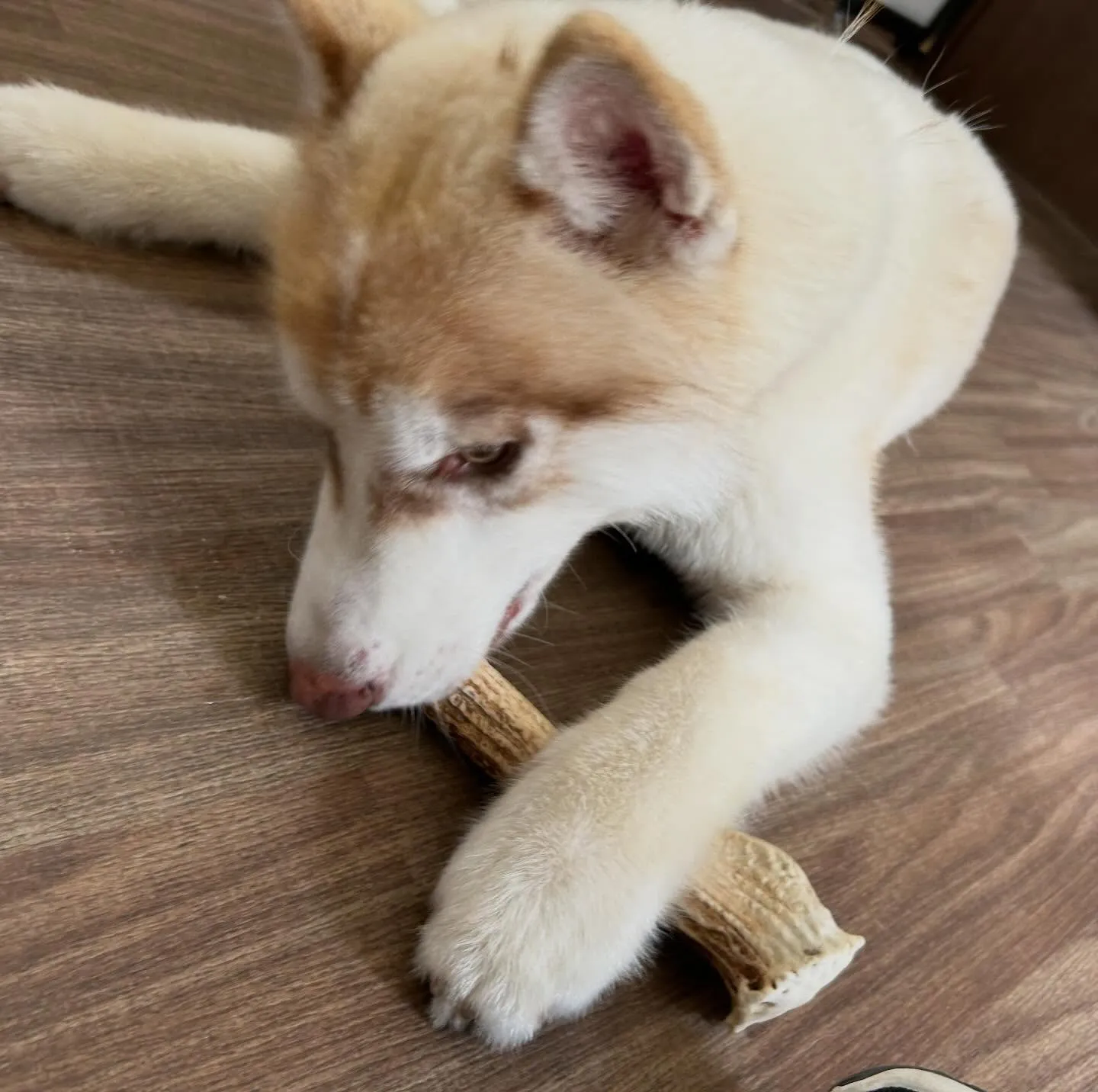 入会してくれた善くんです💖