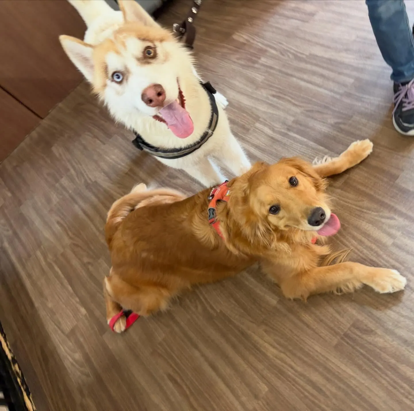 入会してくれた善くんです💖