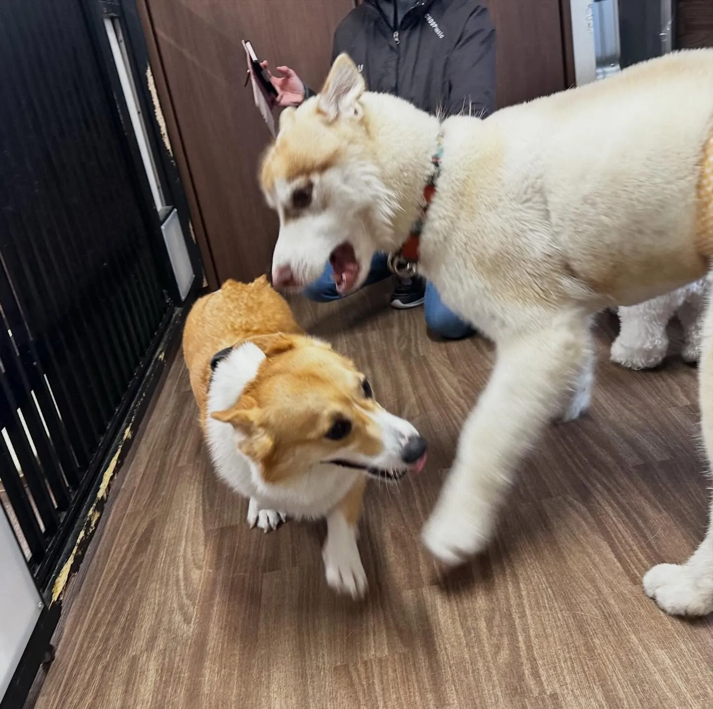 入会してくれた善くんです💖