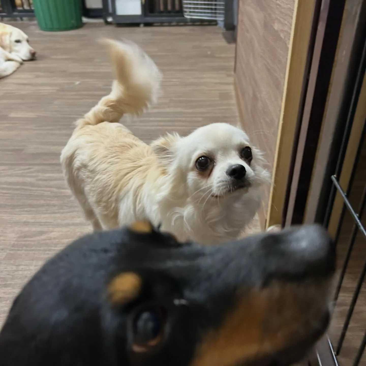 入会してくれたソラくんです❣️