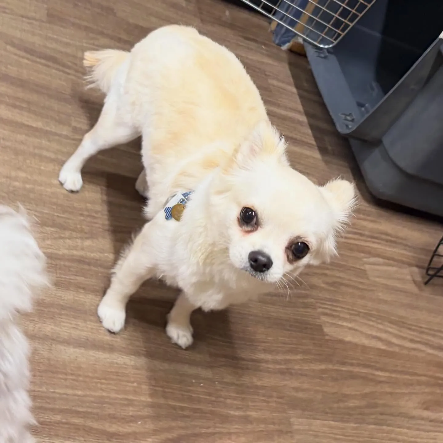 入会してくれたソラくんです❣️