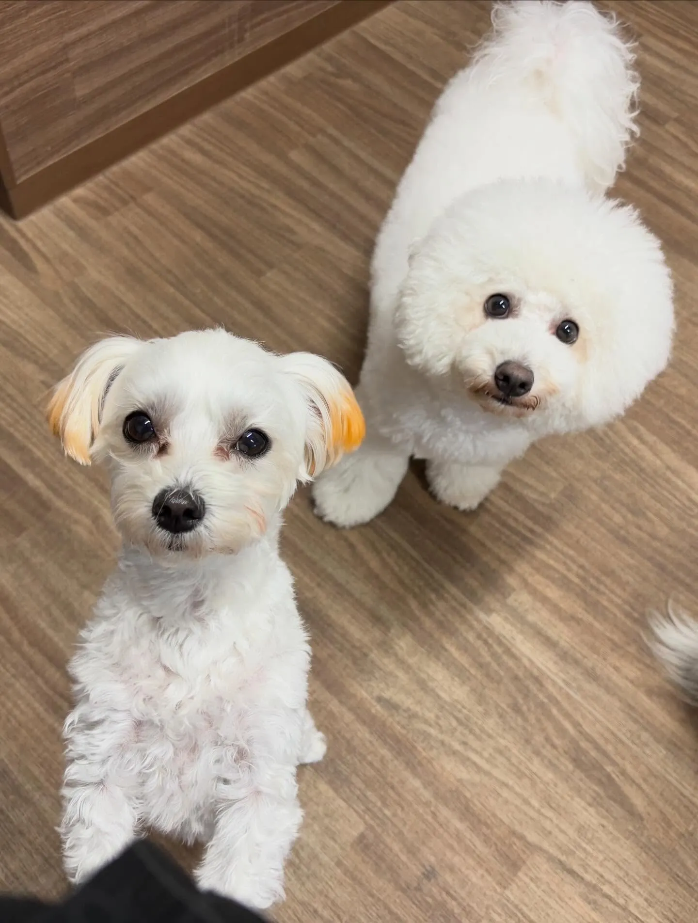 すっかりアップを忘れていて遅くなりました💦