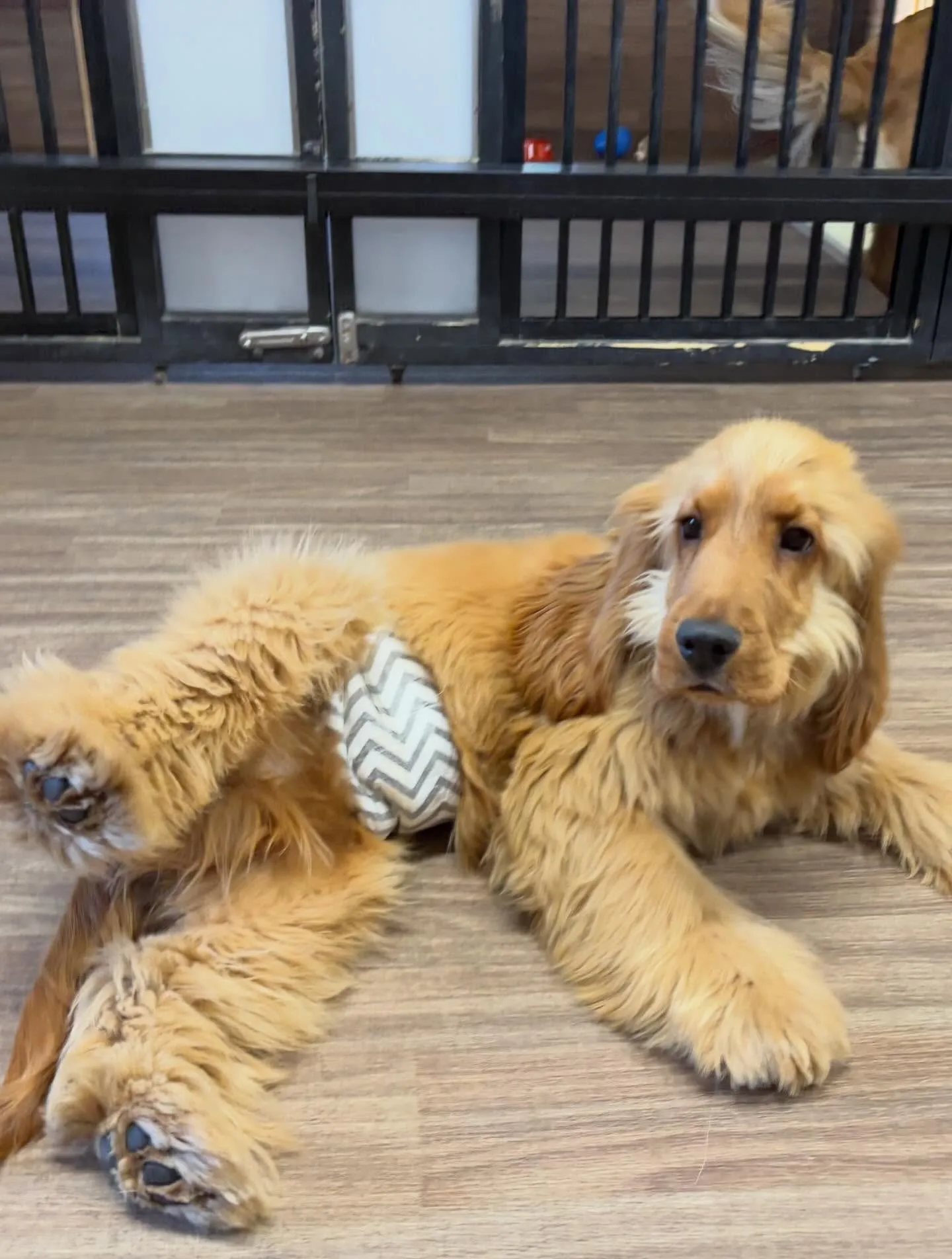 すっかりアップを忘れていて遅くなりました💦