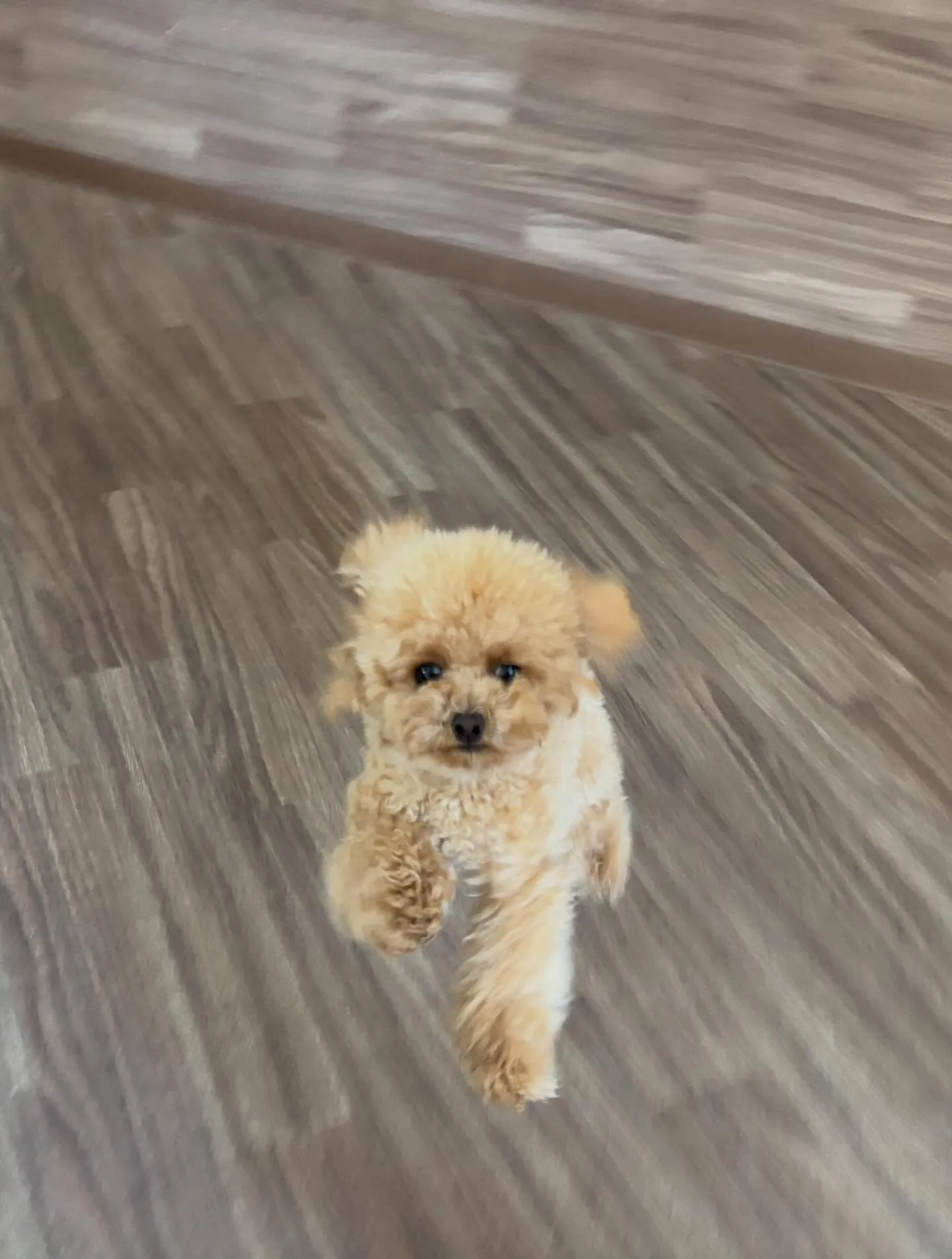 すっかりアップを忘れていて遅くなりました💦