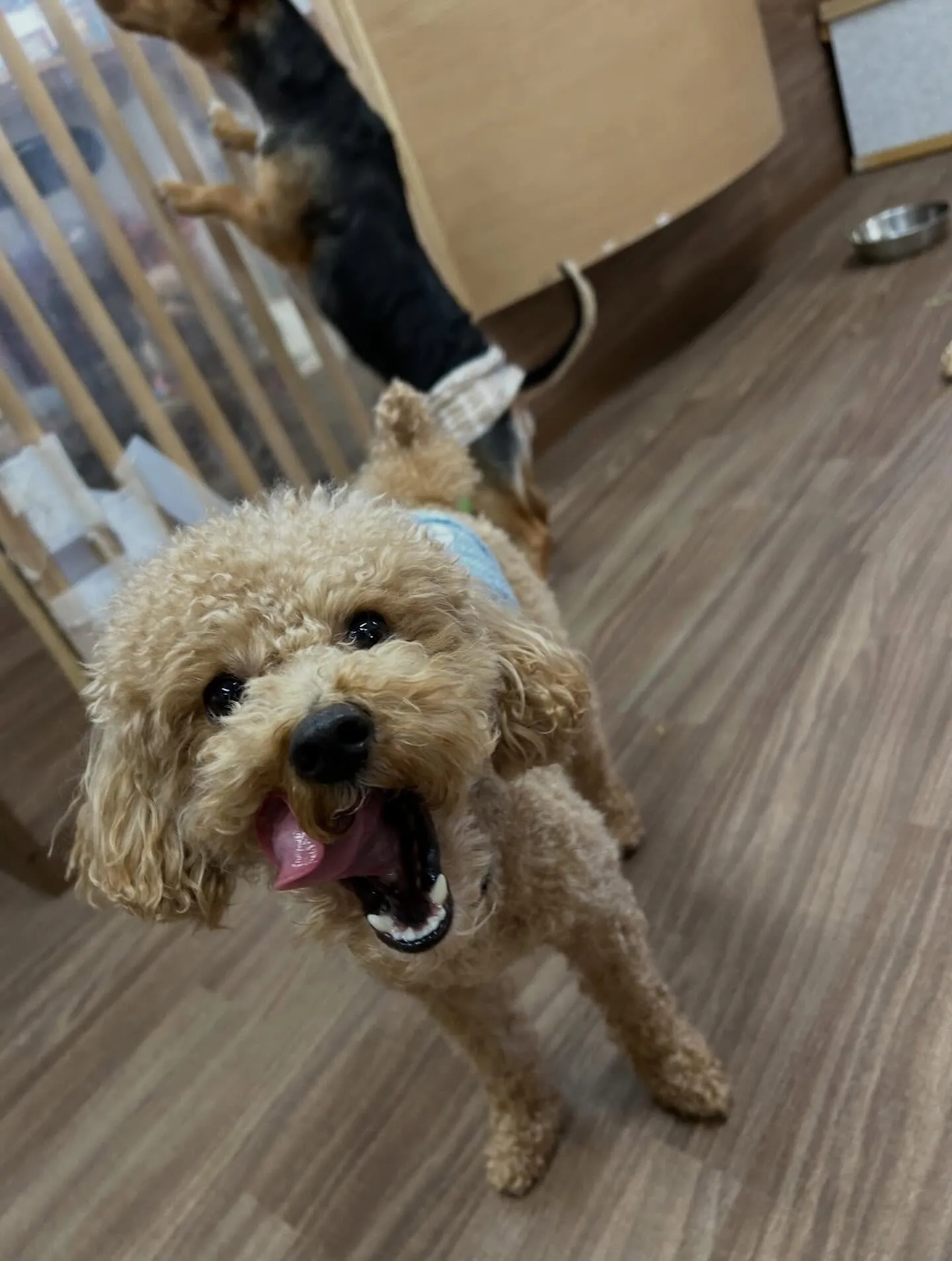 すっかりアップを忘れていて遅くなりました💦