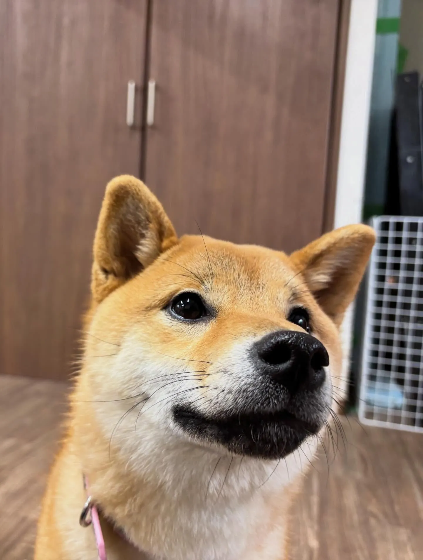 すっかりアップを忘れていて遅くなりました💦