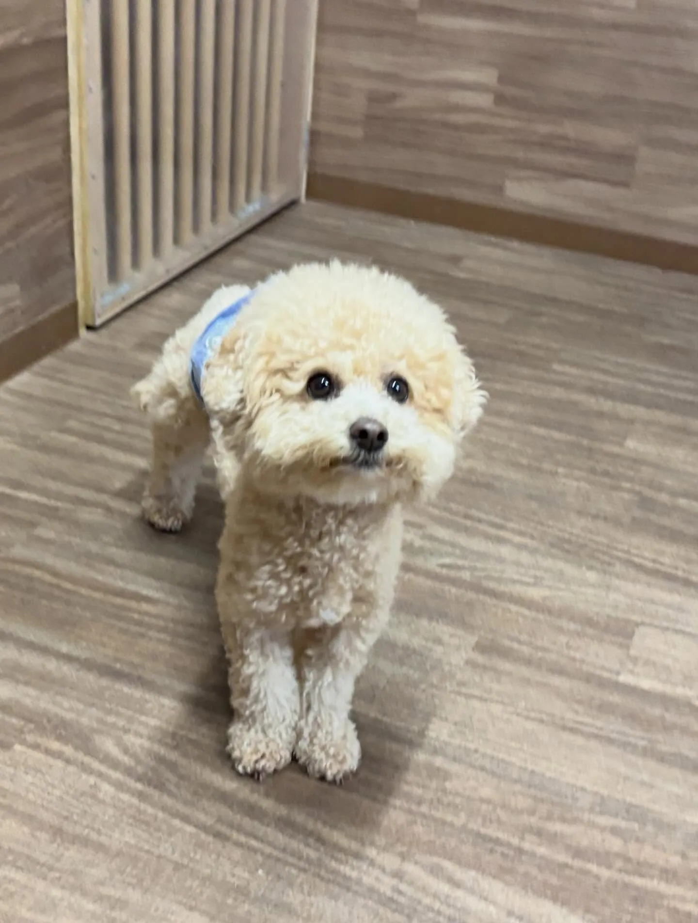 すっかりアップを忘れていて遅くなりました💦