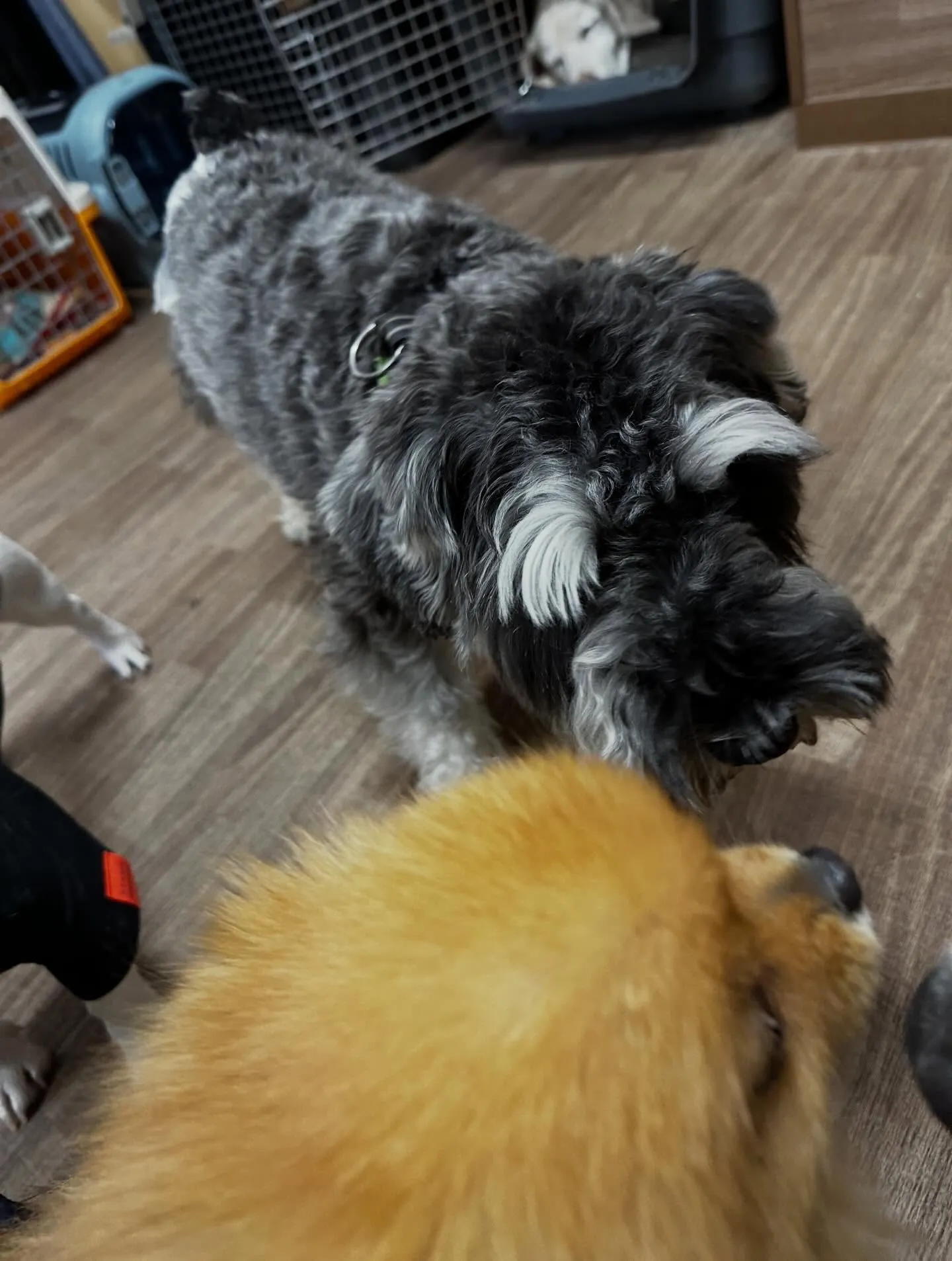 すっかりアップを忘れていて遅くなりました💦