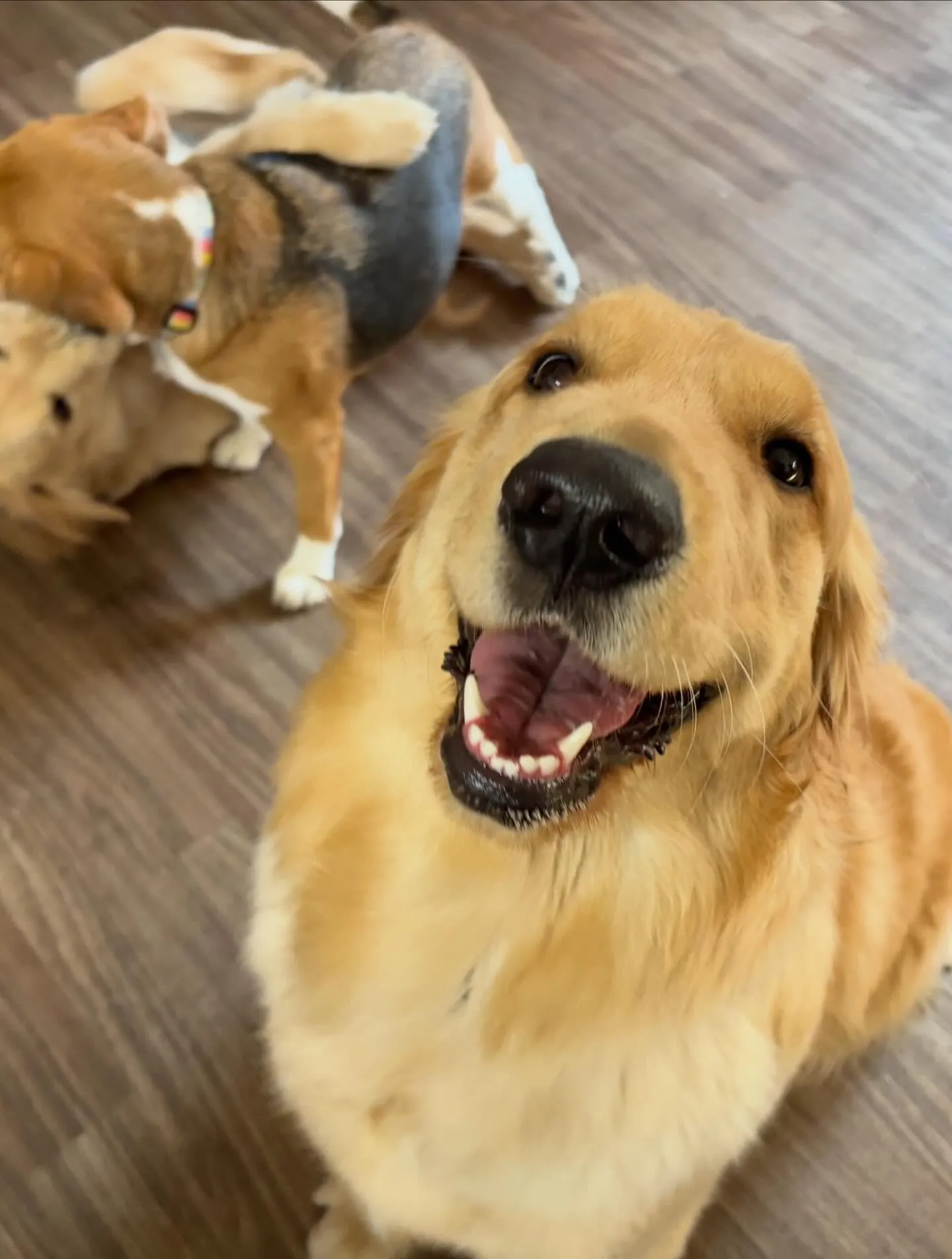 すっかりアップを忘れていて遅くなりました💦