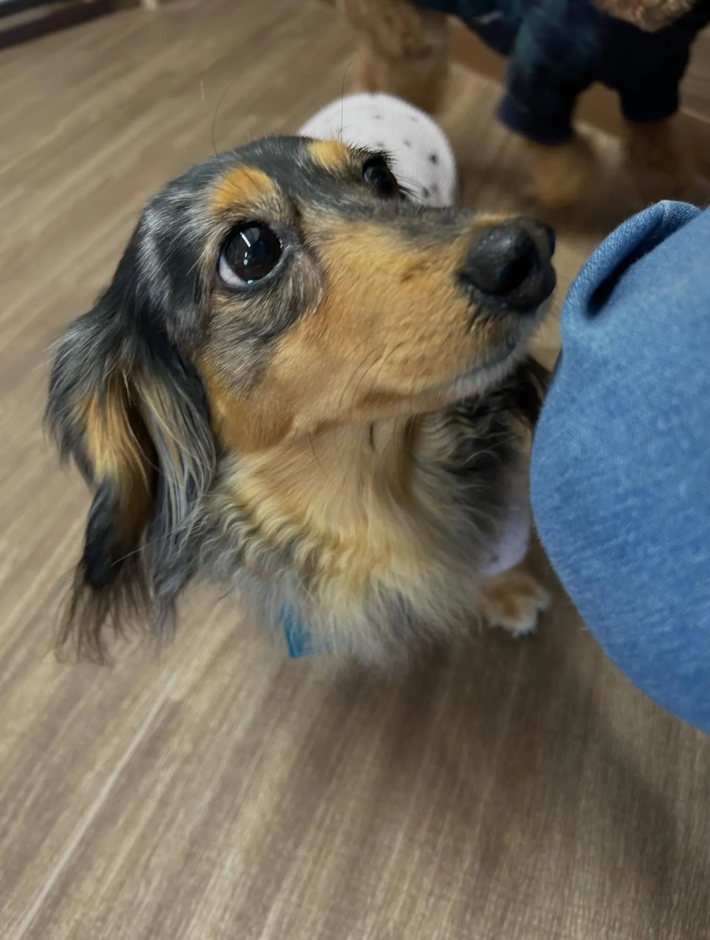 すっかりアップを忘れていて遅くなりました💦