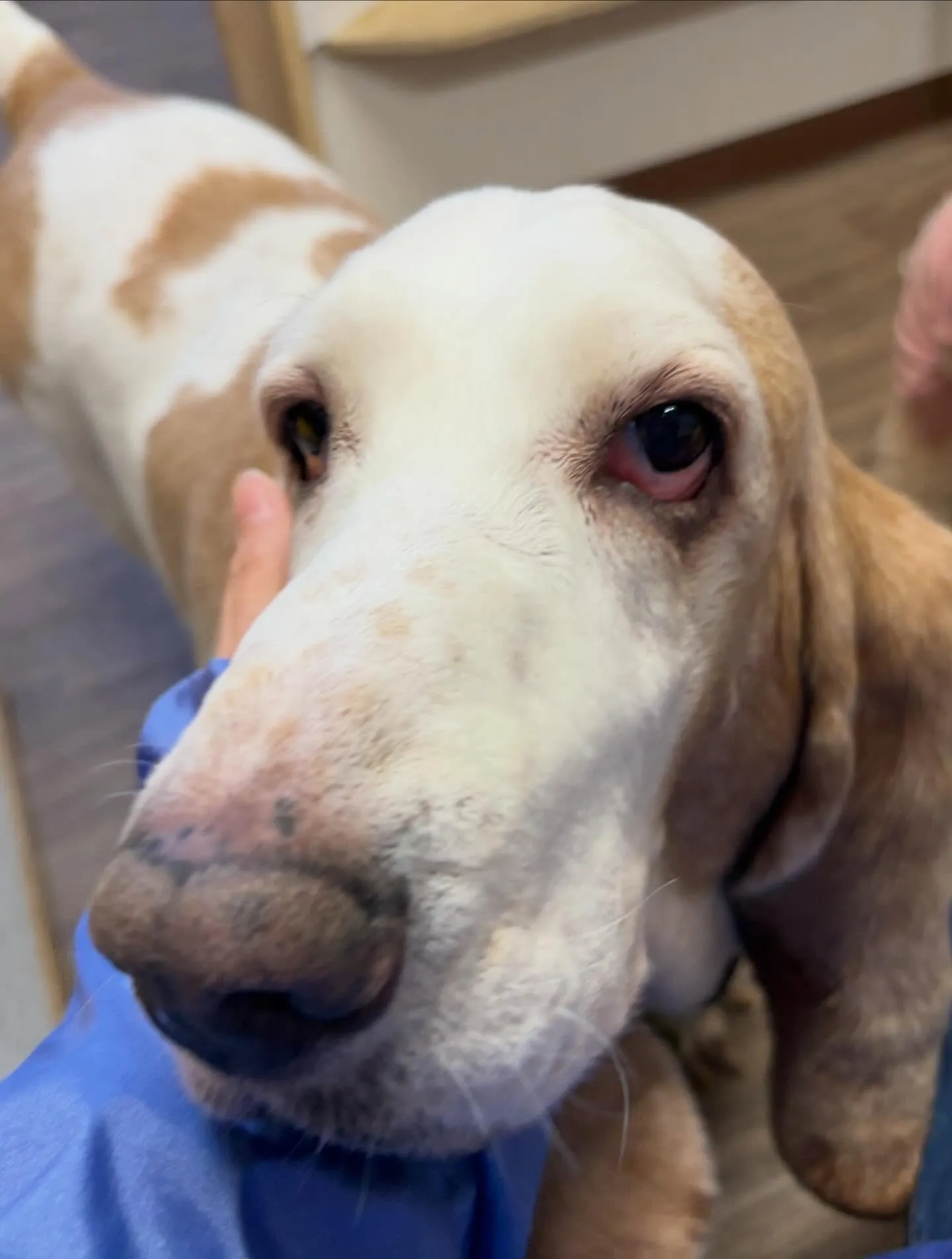 すっかりアップを忘れていて遅くなりました💦