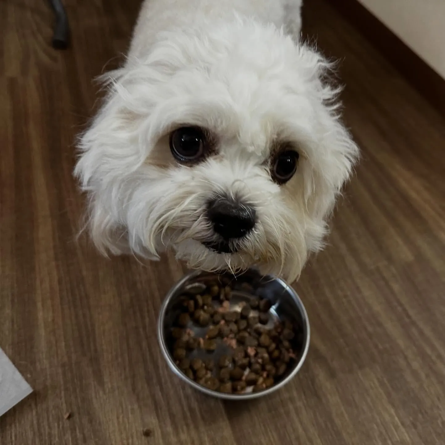 入会してくれたくうちゃんです💕