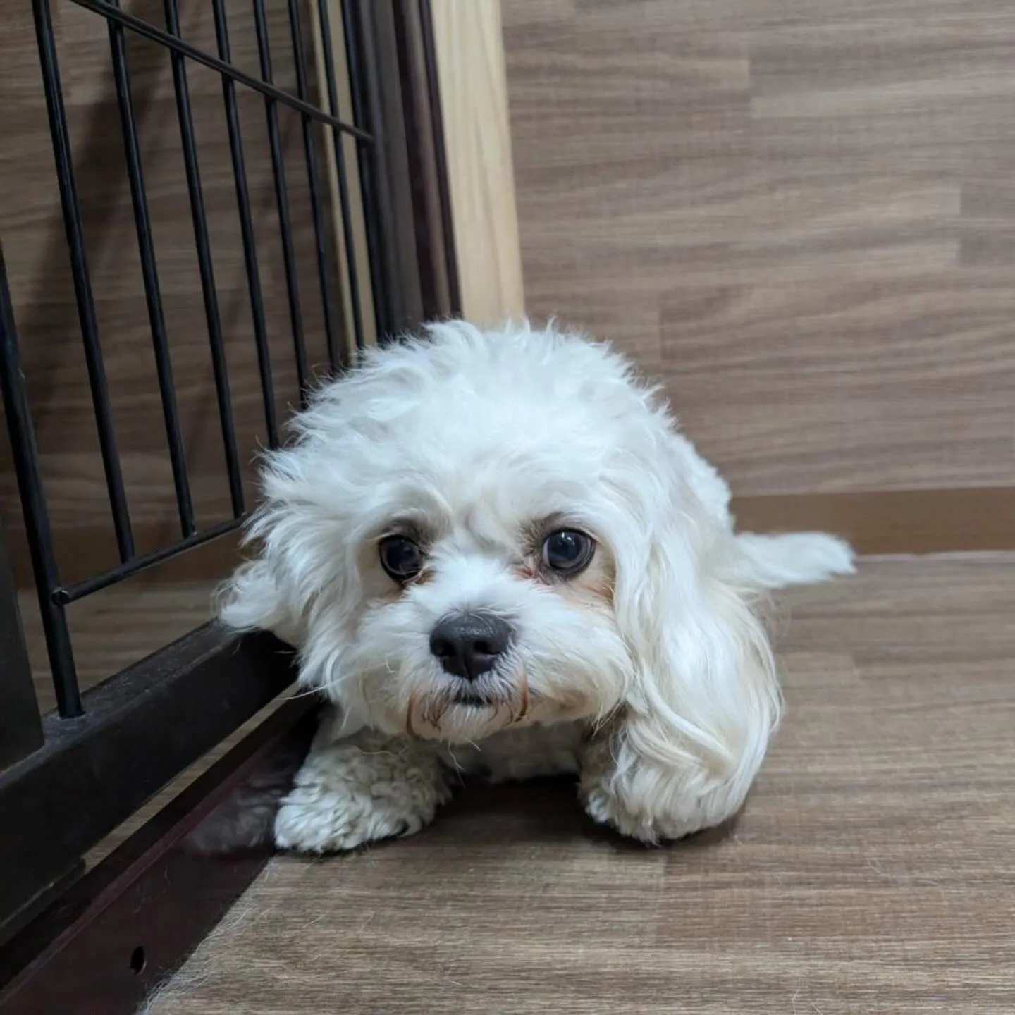 入会してくれたくうちゃんです💕