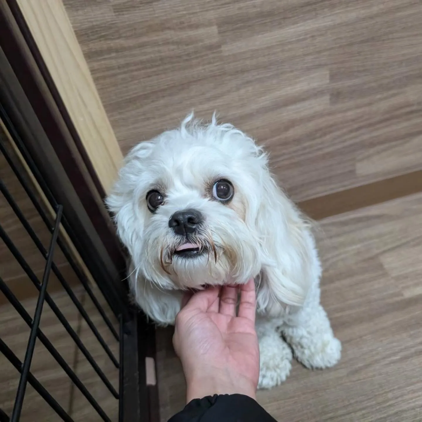 入会してくれたくうちゃんです💕