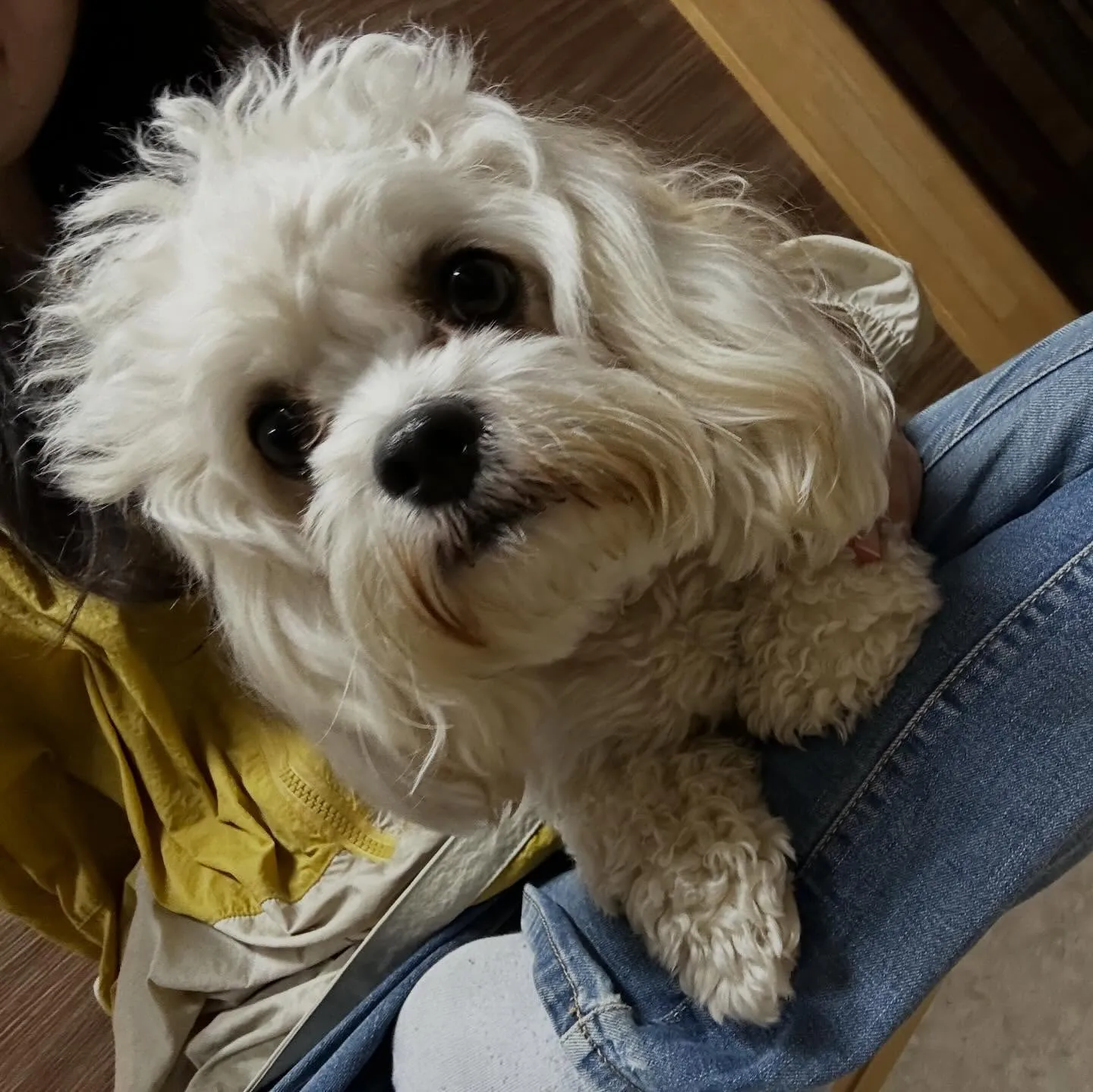 入会してくれたくうちゃんです💕