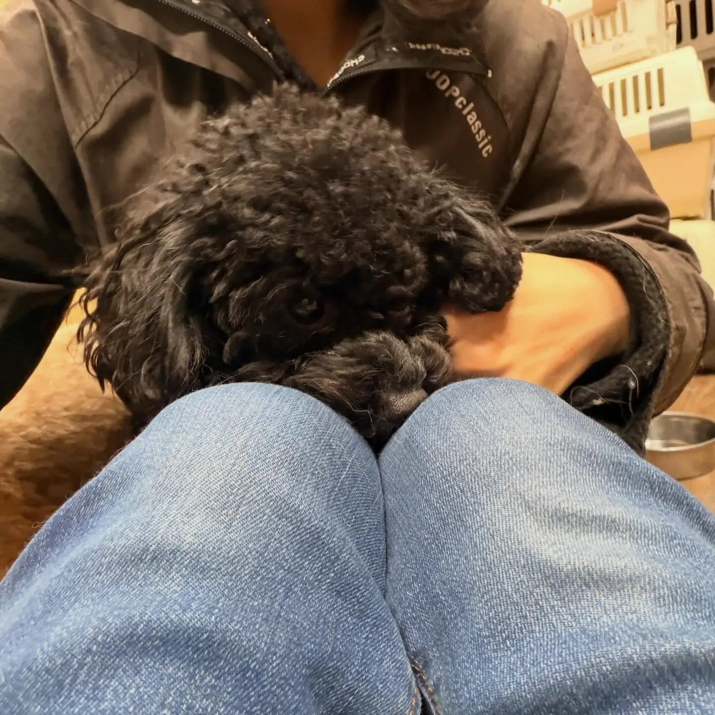 入会してくれたノアちゃんです💖