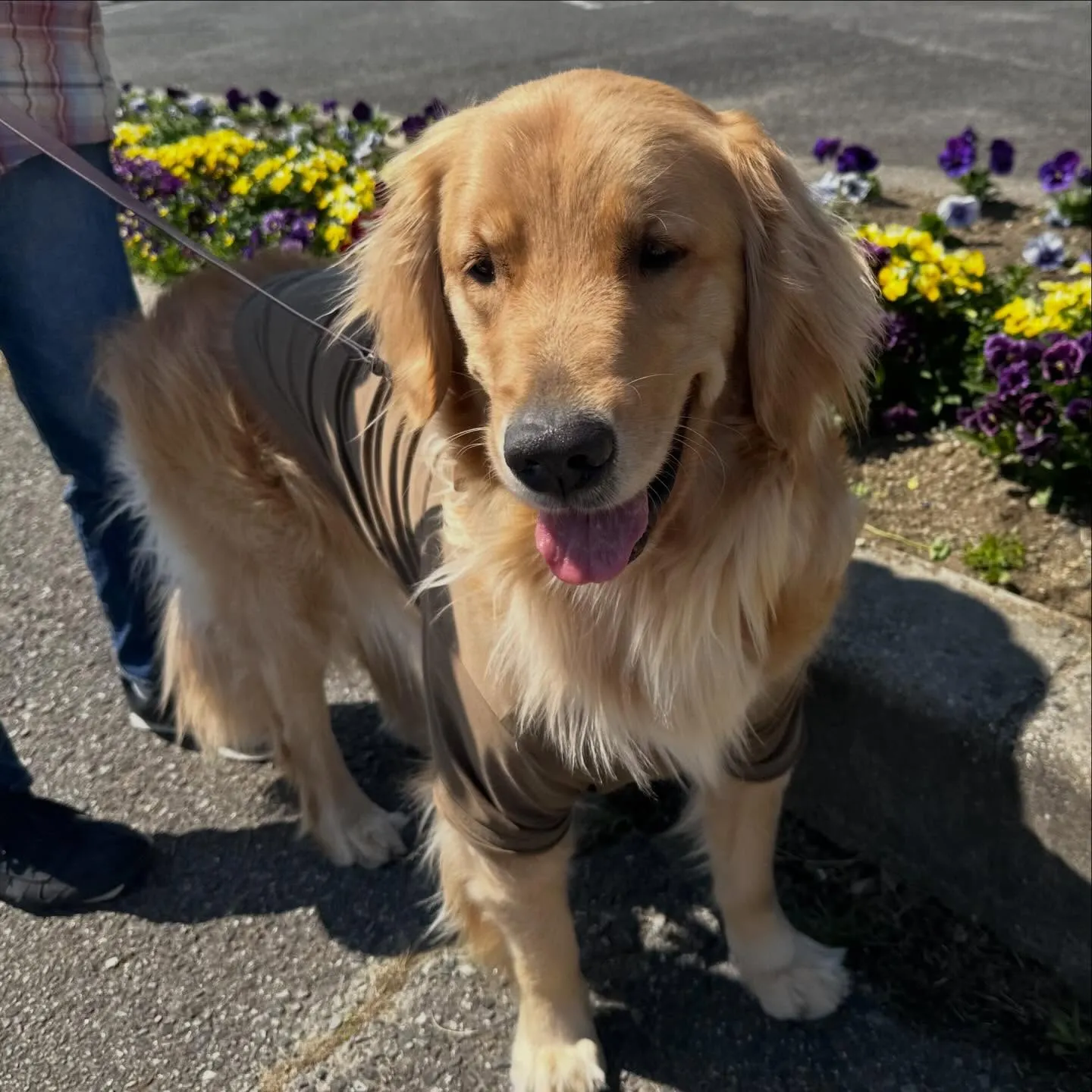 【春の遠足イベント ご予約受付開始のお知らせ】