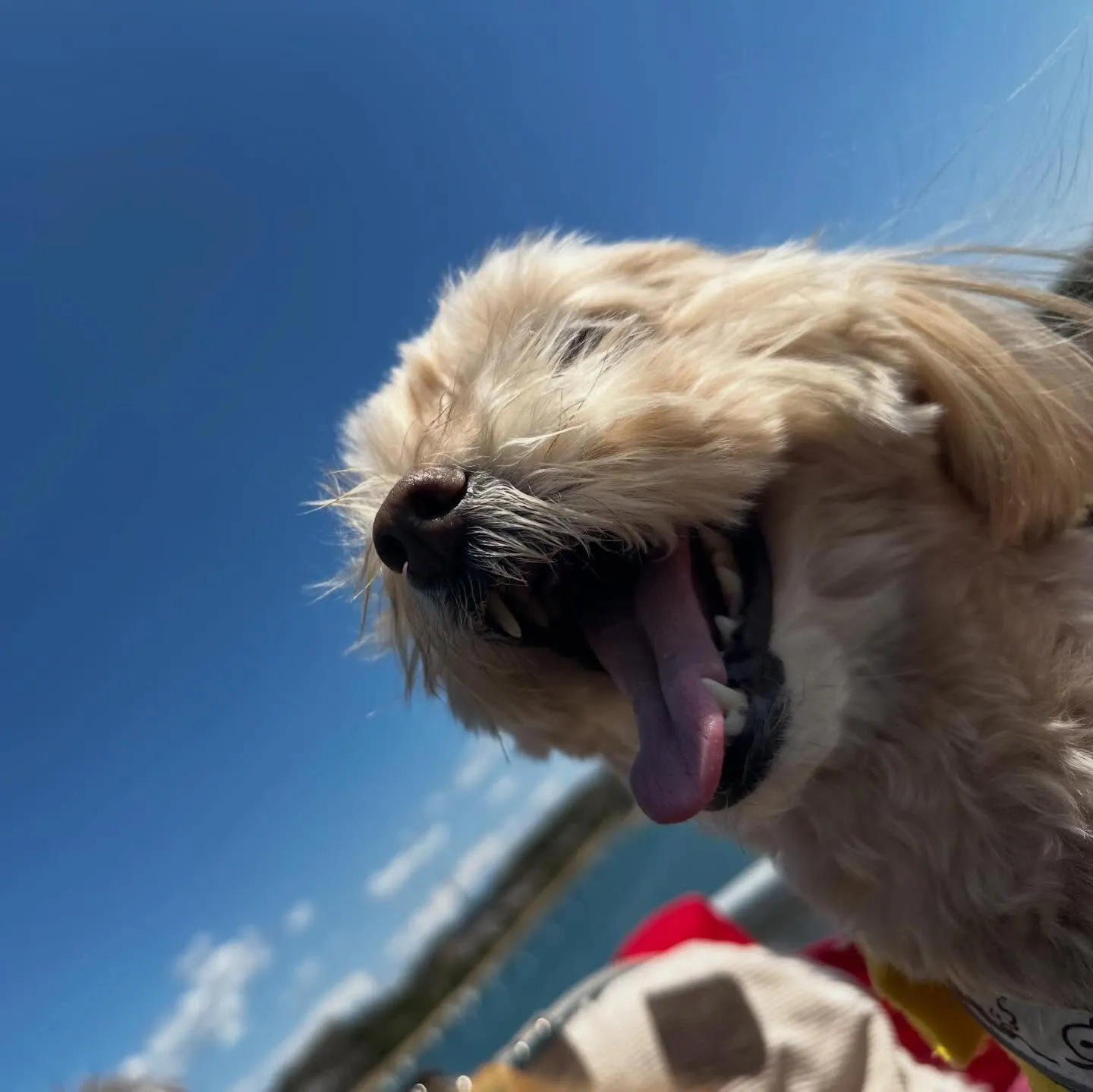 【春の遠足イベント ご予約受付開始のお知らせ】