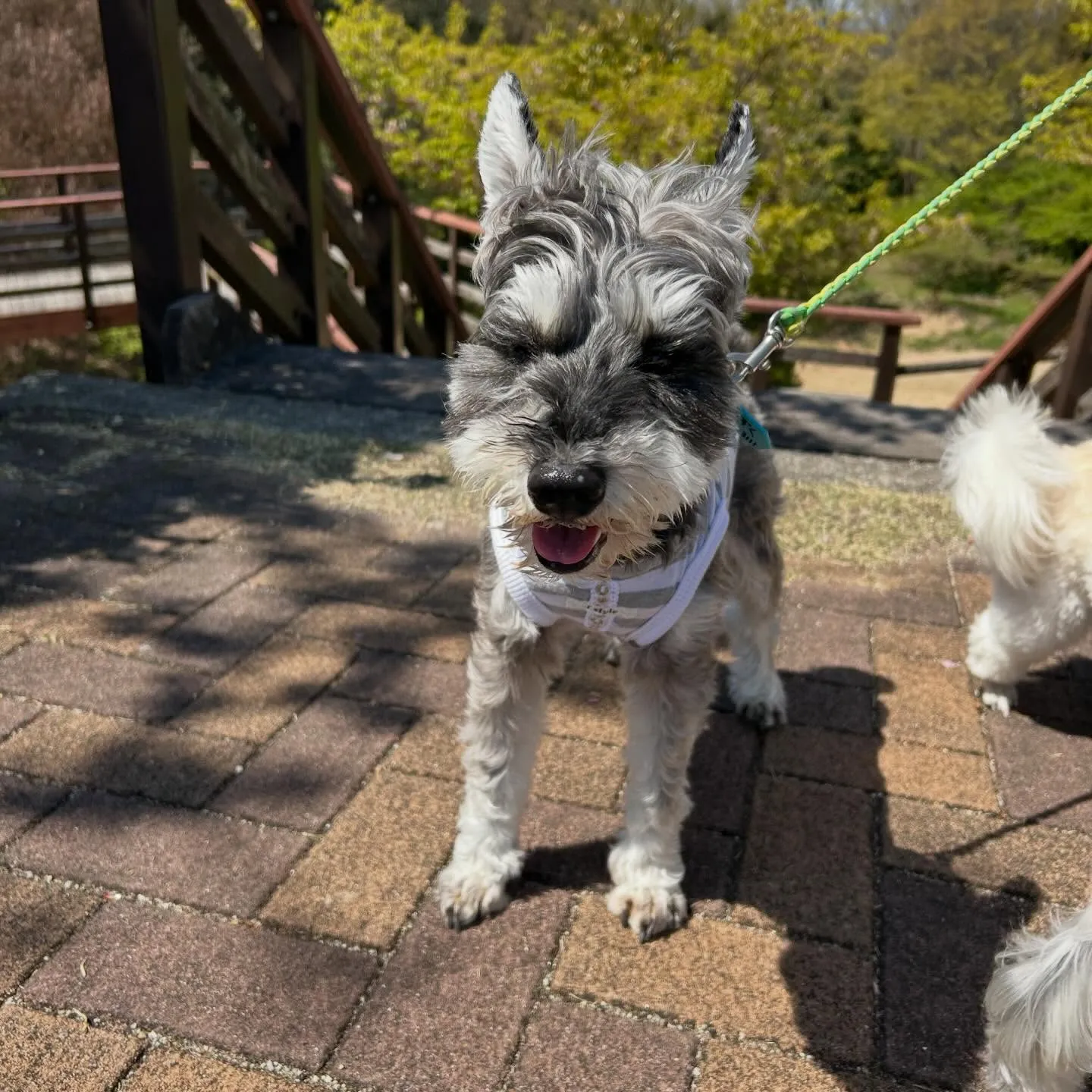 【春の遠足イベント ご予約受付開始のお知らせ】