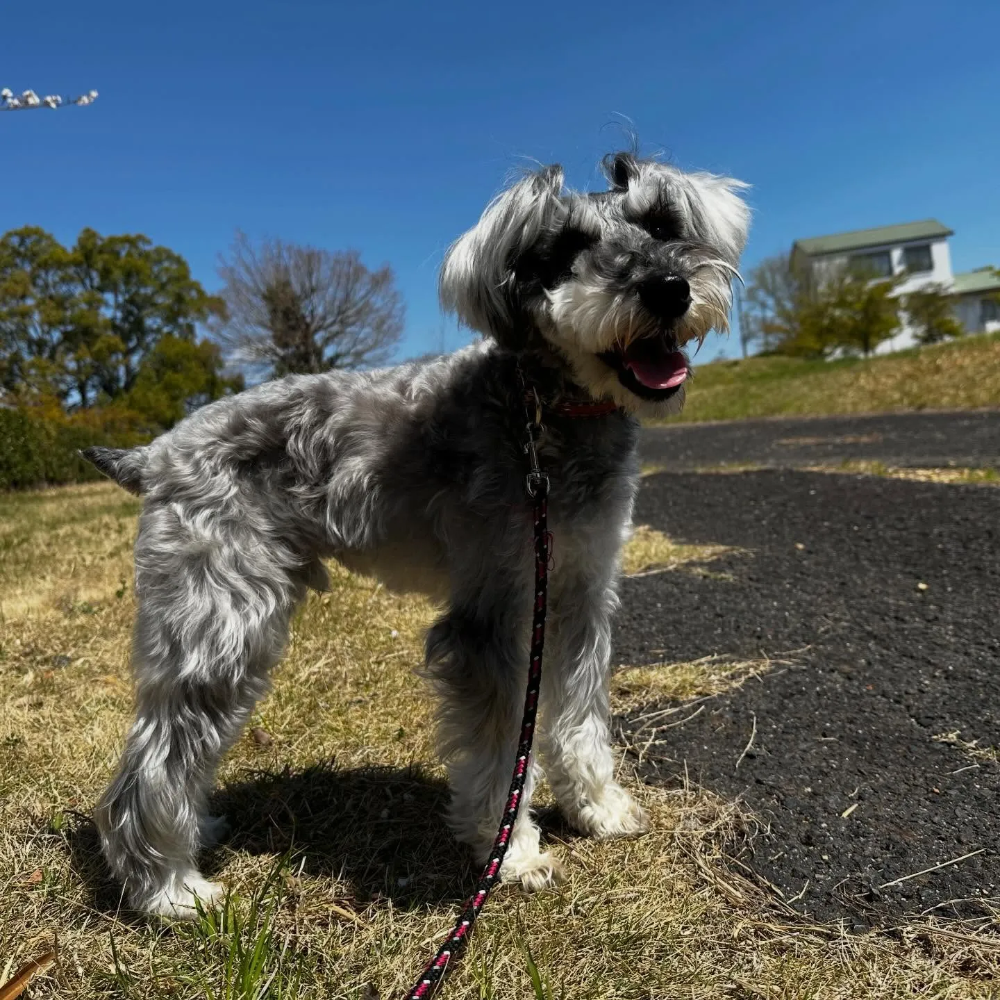 【春の遠足イベント ご予約受付開始のお知らせ】
