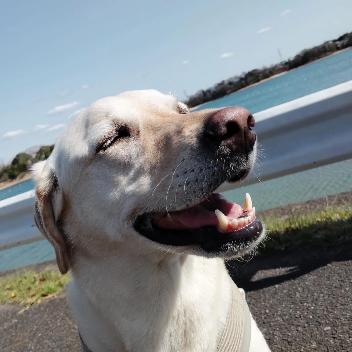 【春の遠足イベント ご予約受付開始のお知らせ】