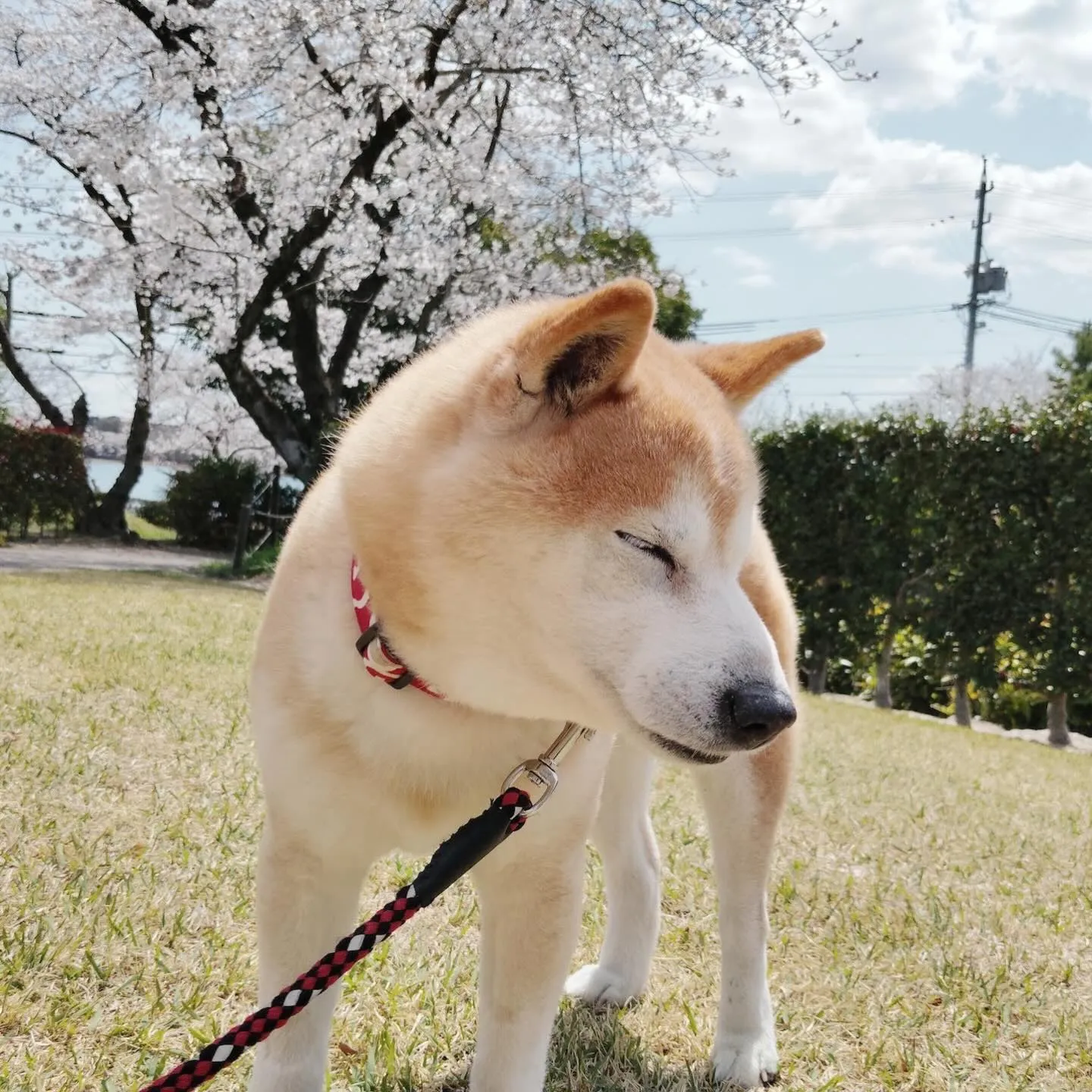 【春の遠足イベント ご予約受付開始のお知らせ】