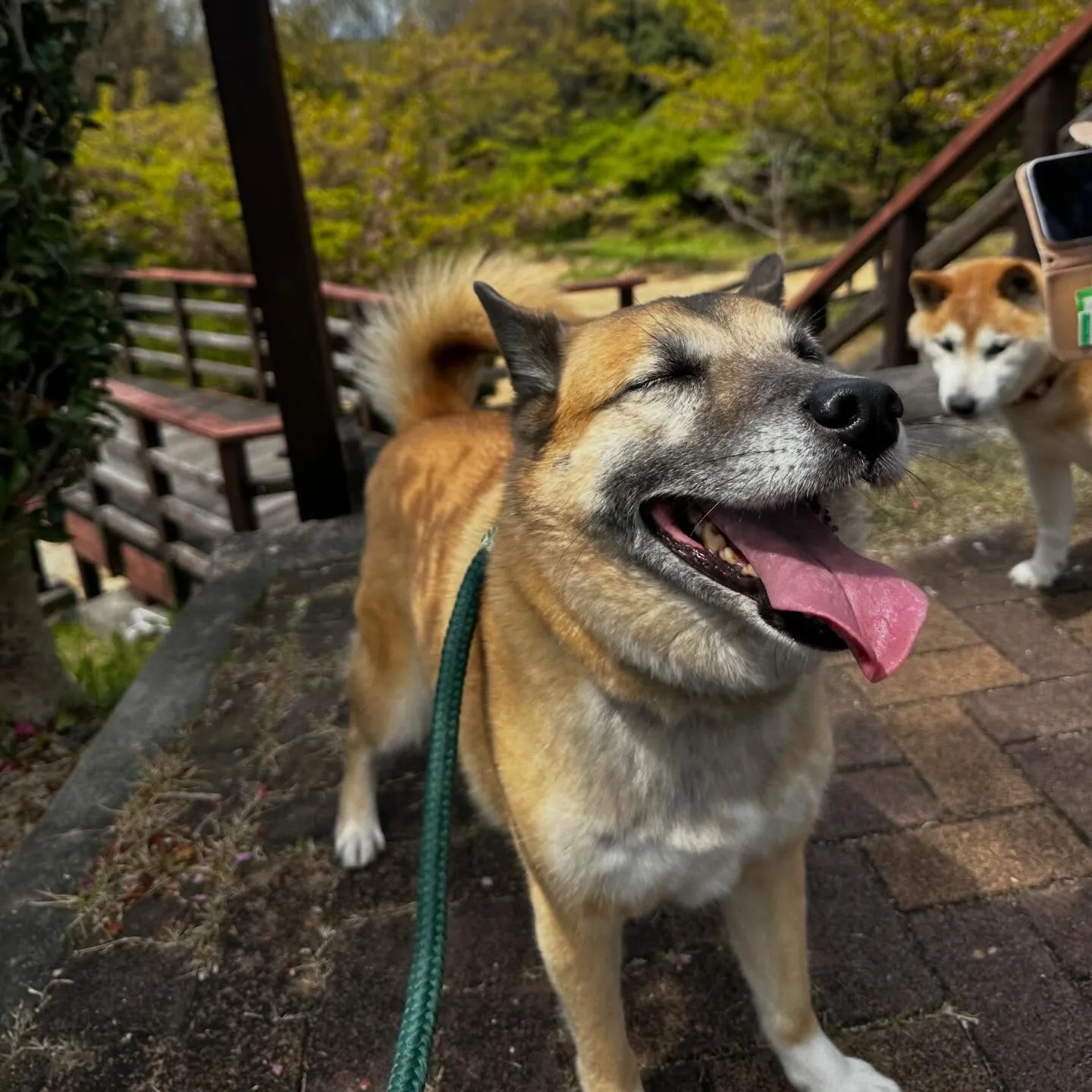 【春の遠足イベント ご予約受付開始のお知らせ】
