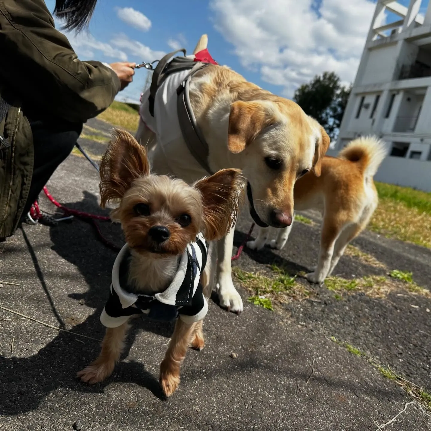 【春の遠足イベント ご予約受付開始のお知らせ】