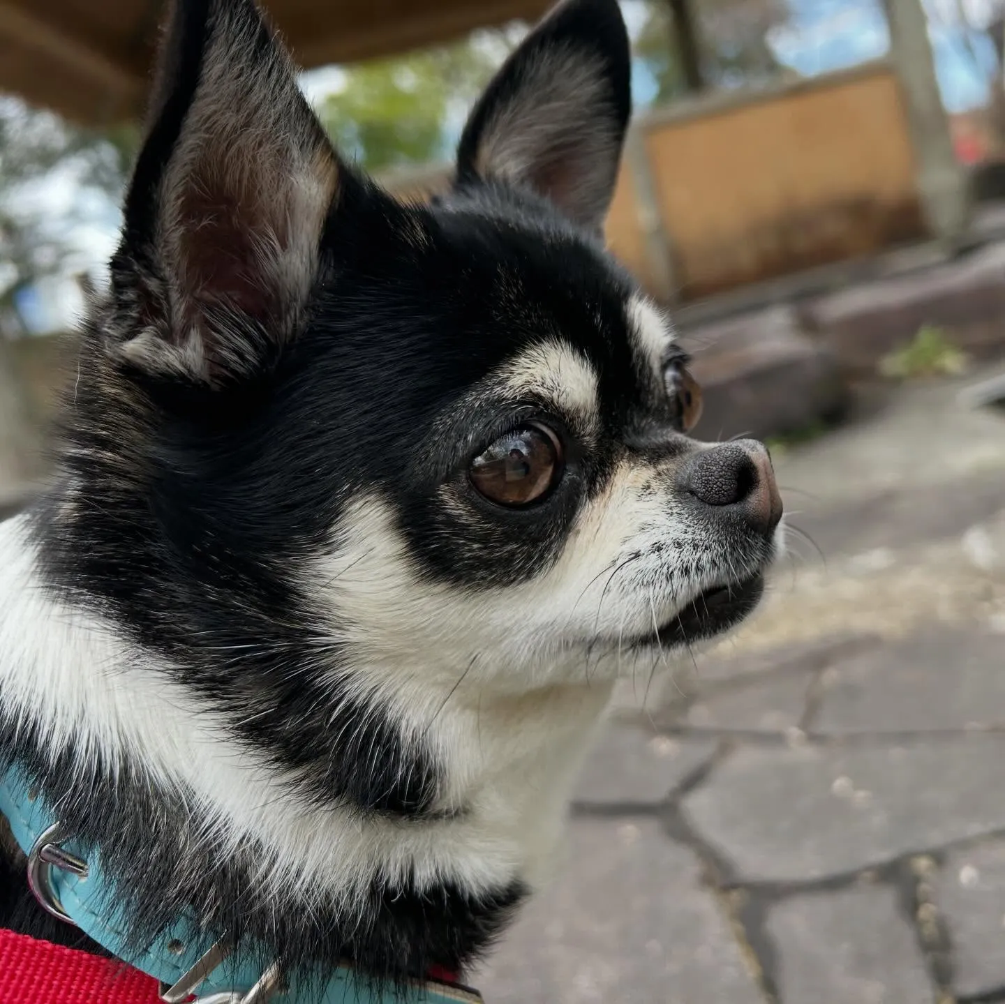 【春の遠足イベント 25日予約受付終了のお知らせ】