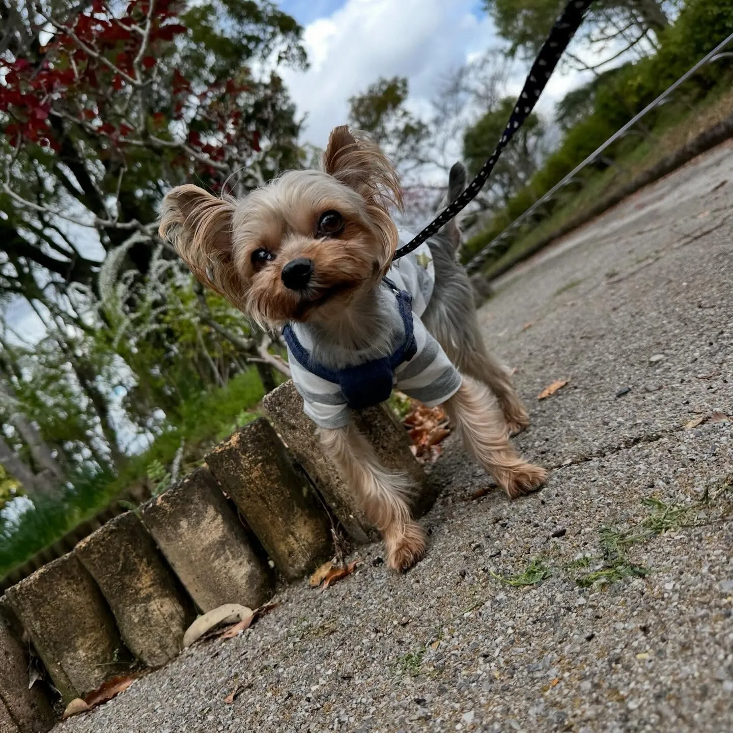 【春の遠足イベント 25日予約受付終了のお知らせ】