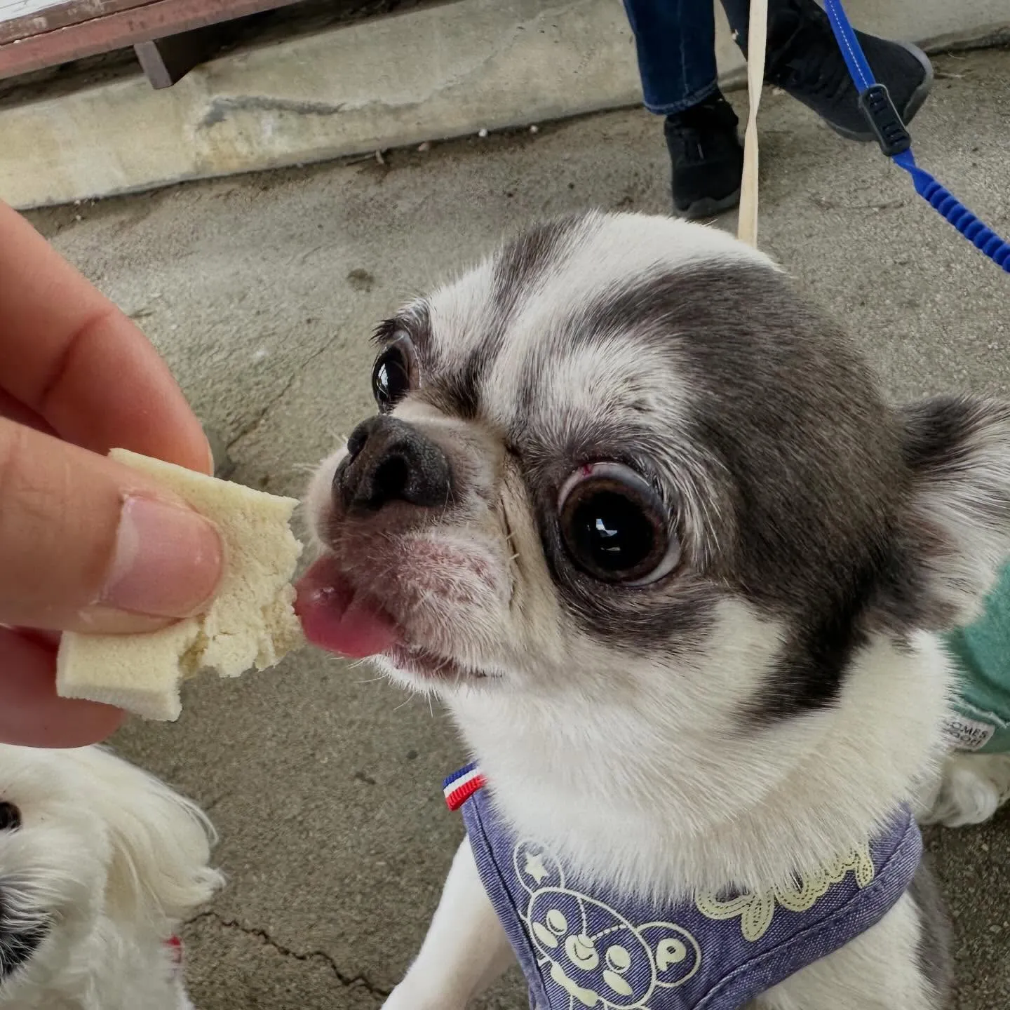 【春の遠足イベント 25日予約受付終了のお知らせ】