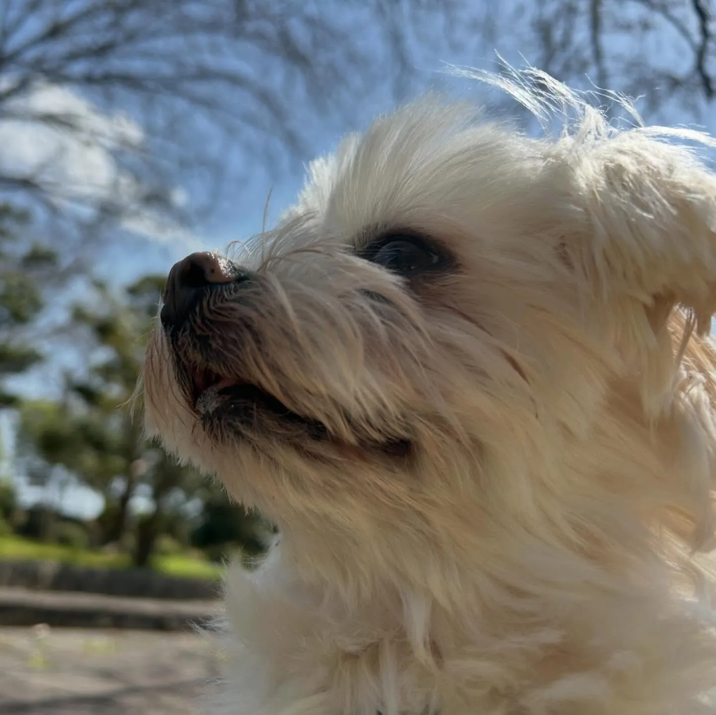 【春の遠足イベント 25日予約受付終了のお知らせ】