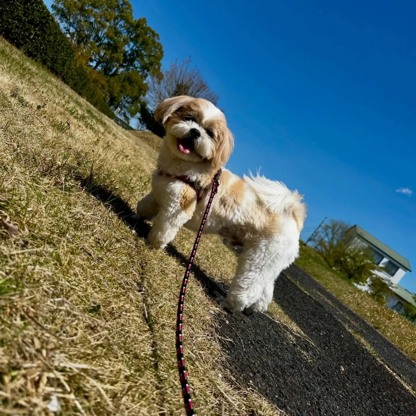 【春の遠足イベント 予約受付終了のお知らせ】