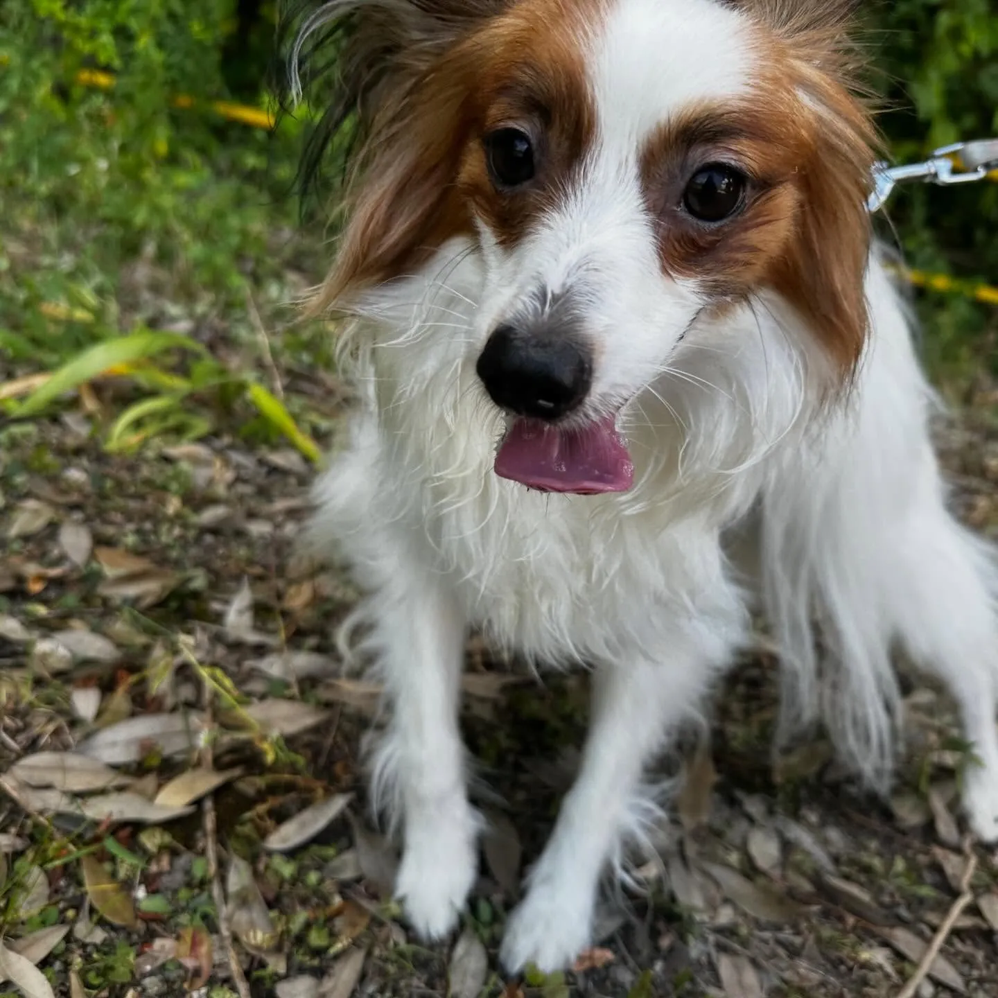 【春の遠足イベント 予約受付終了のお知らせ】