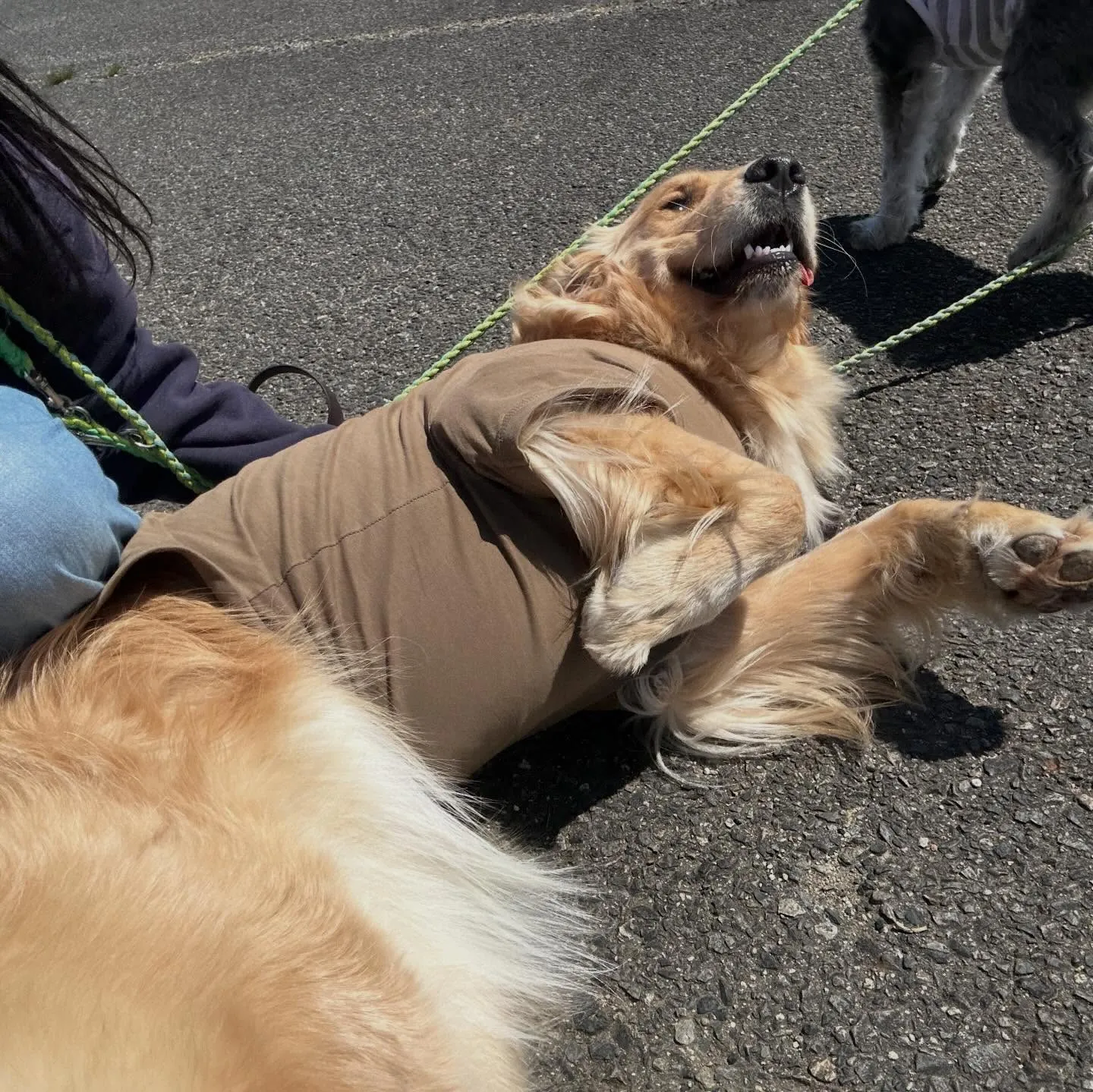 【春の遠足イベント 予約受付終了のお知らせ】