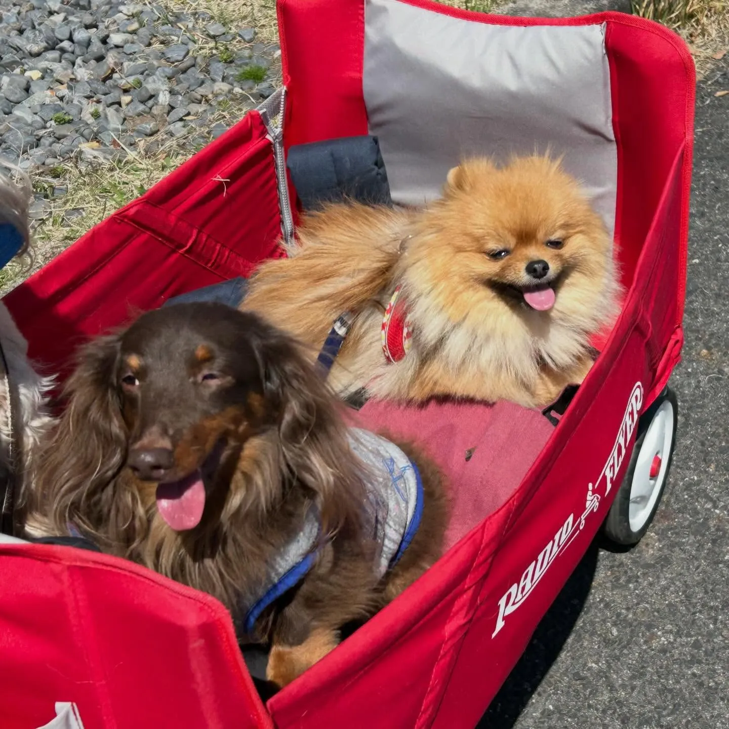 【春の遠足イベント 予約受付終了のお知らせ】