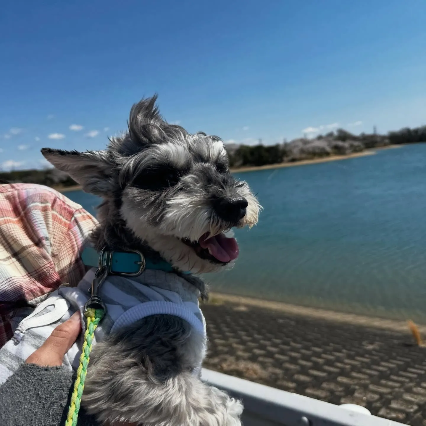 【春の遠足イベント 予約受付終了のお知らせ】