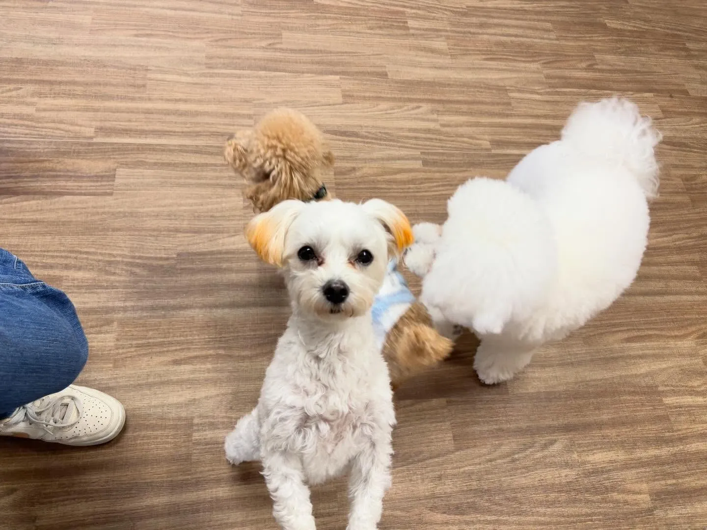 ✨3月のおすすめ商品✨