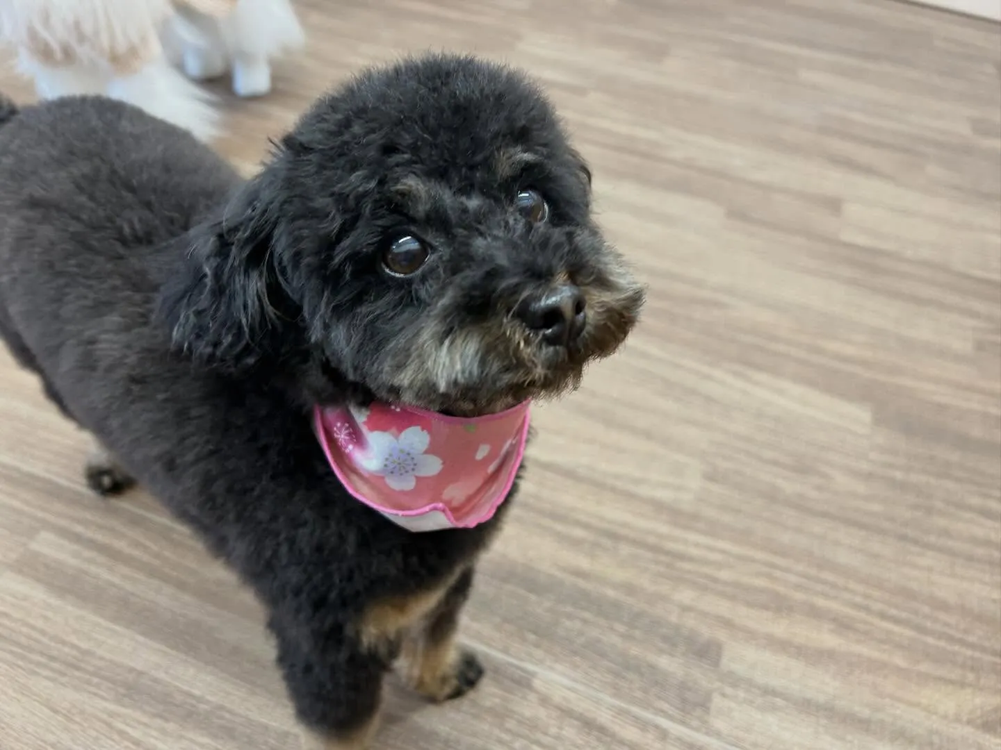 ✨3月のおすすめ商品✨