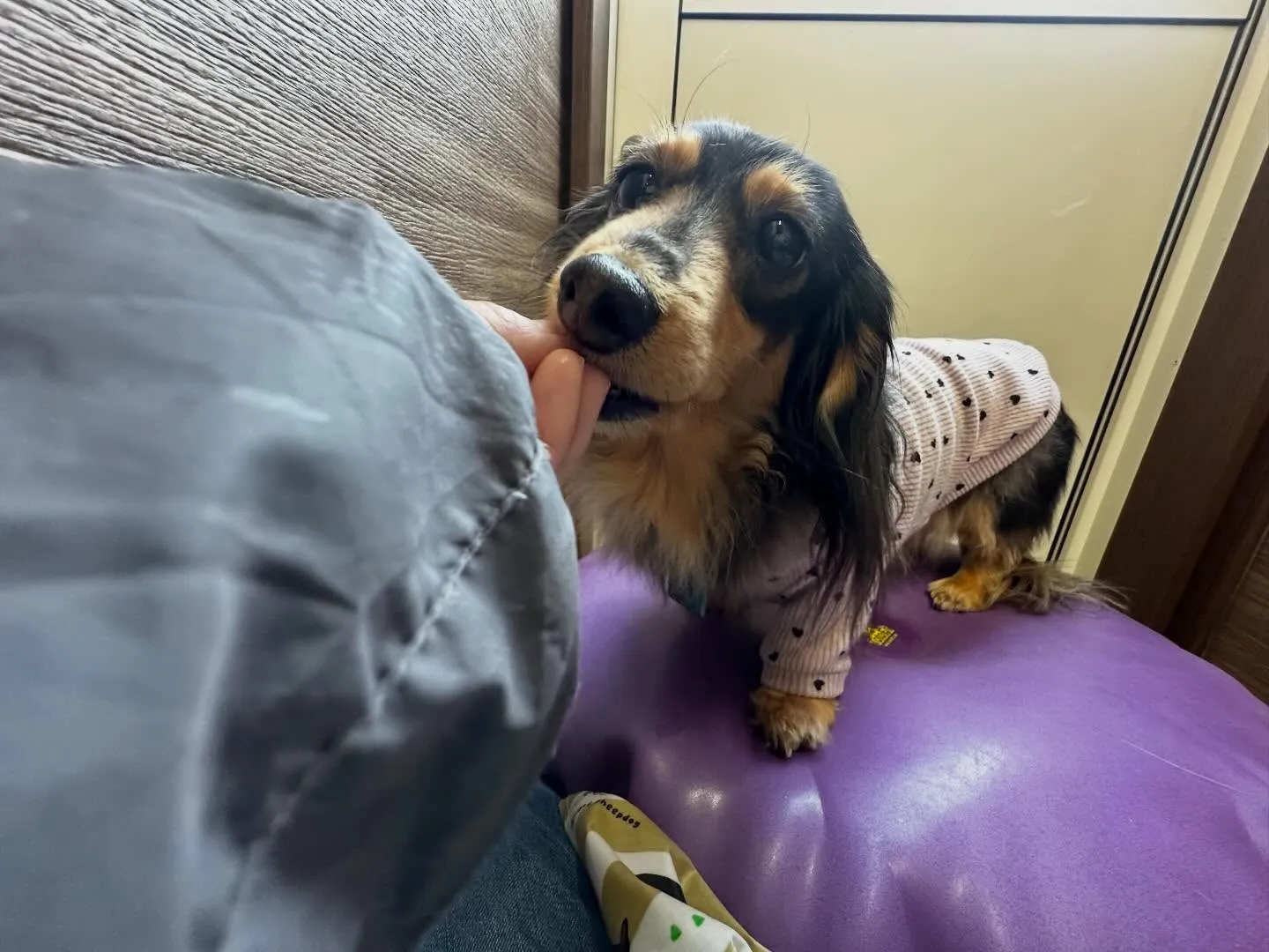 ✨3月のおすすめ商品✨