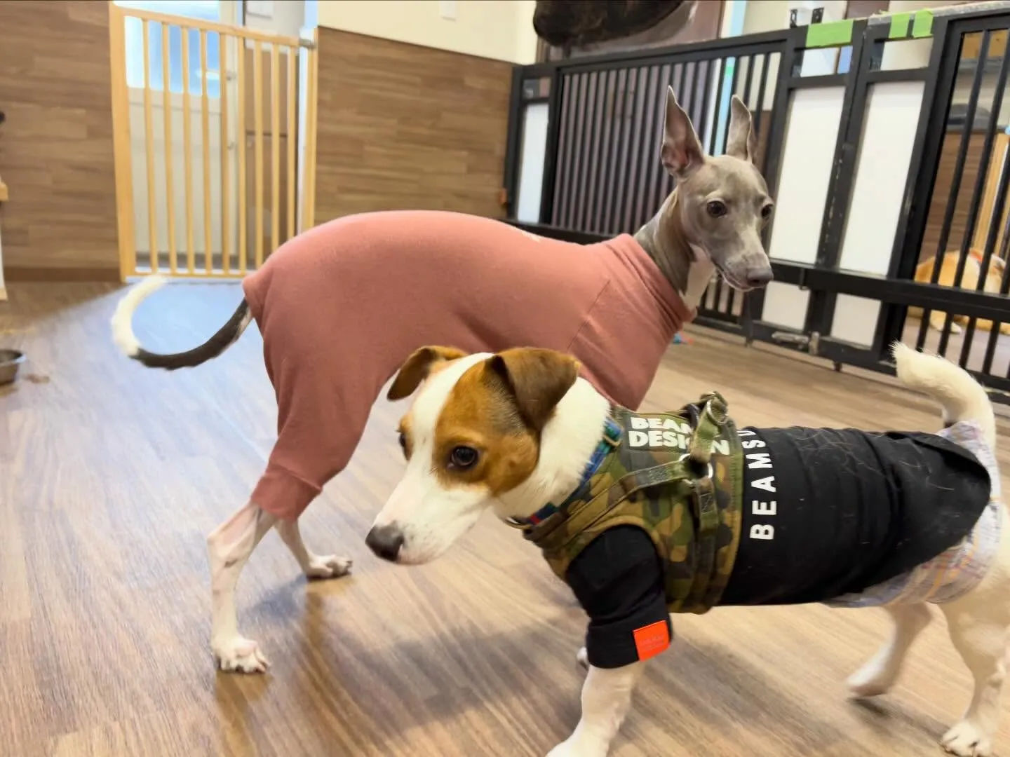 ✨3月のおすすめ商品✨