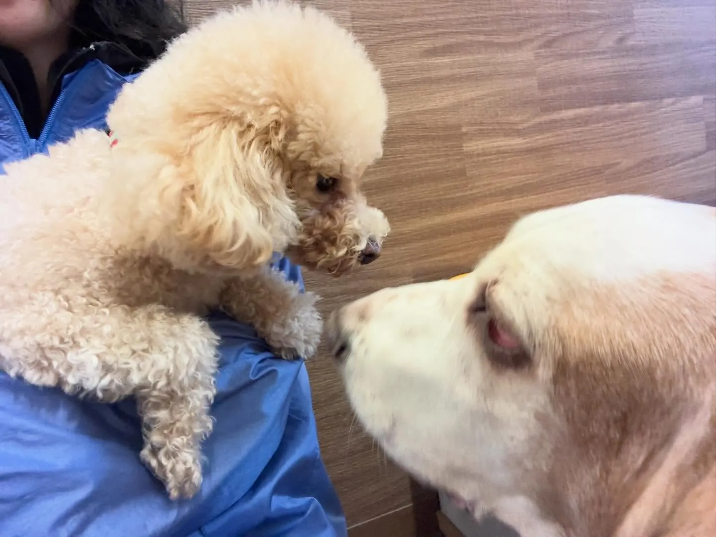 ✨3月のおすすめ商品✨