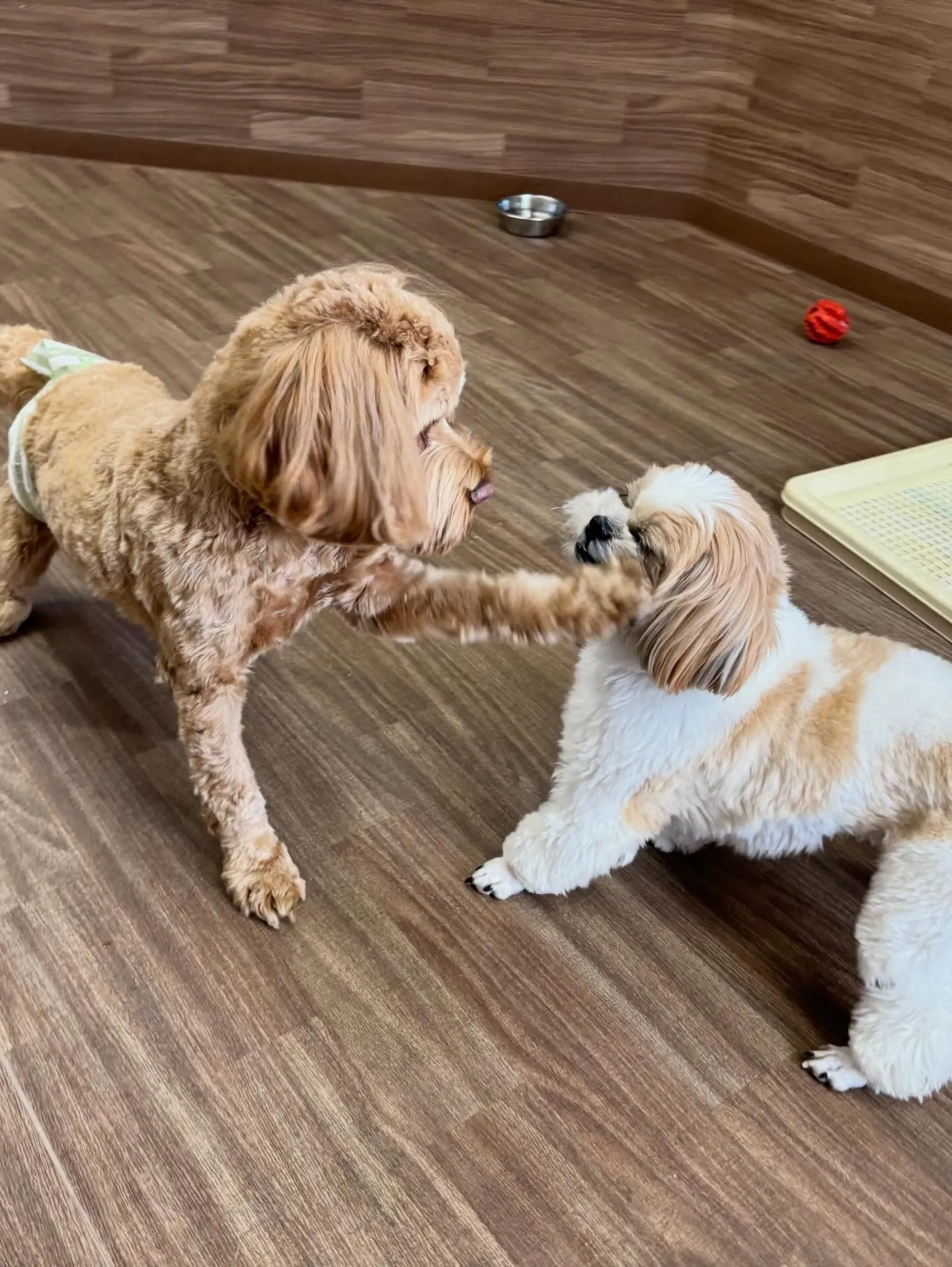 投稿遅くなりましたが