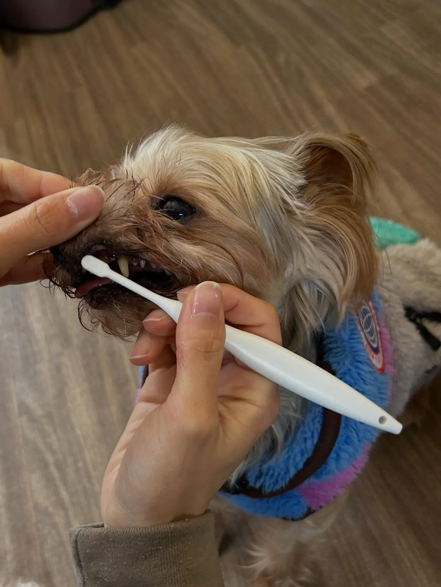 投稿遅くなりましたが