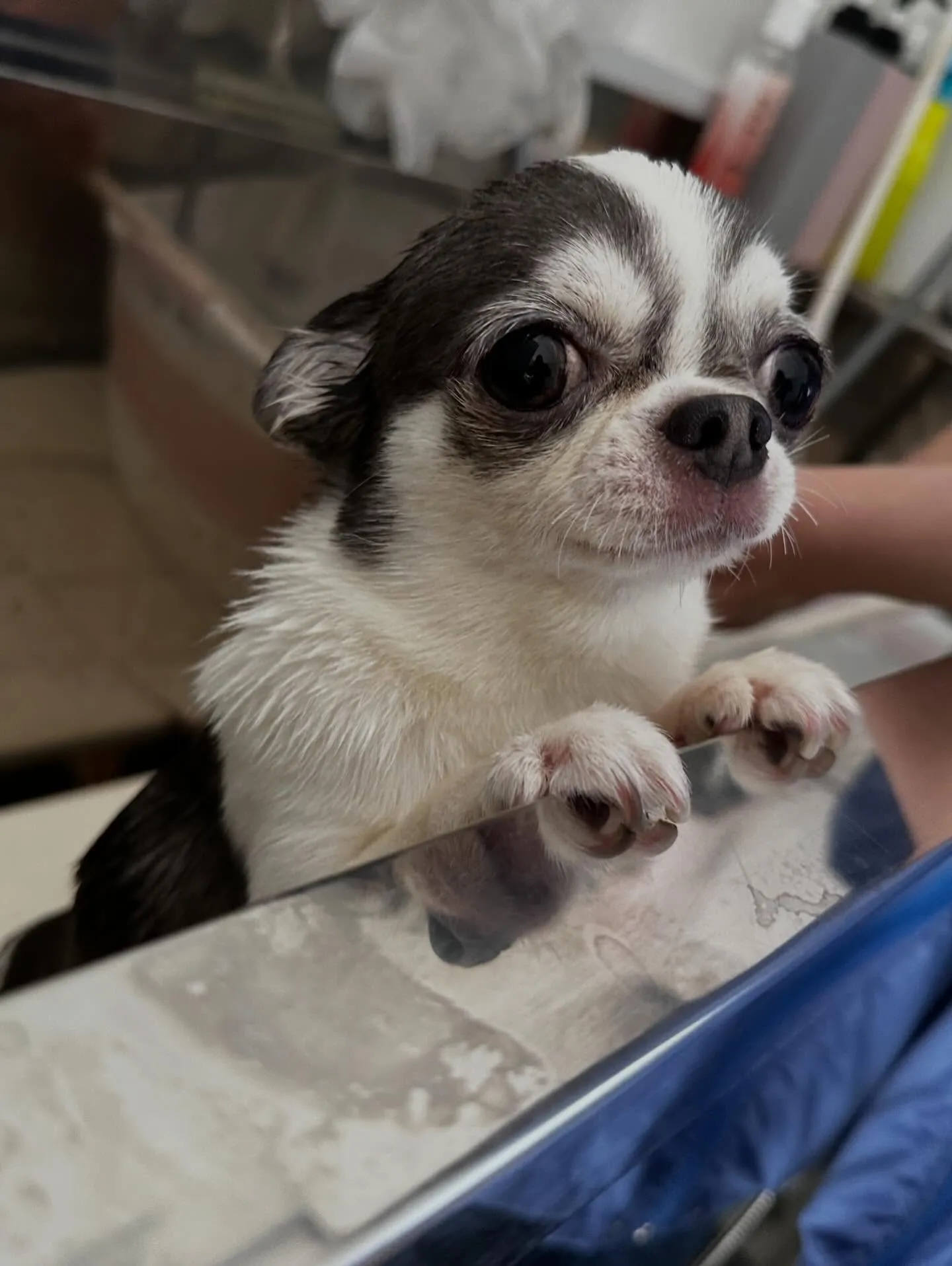 投稿遅くなりましたが